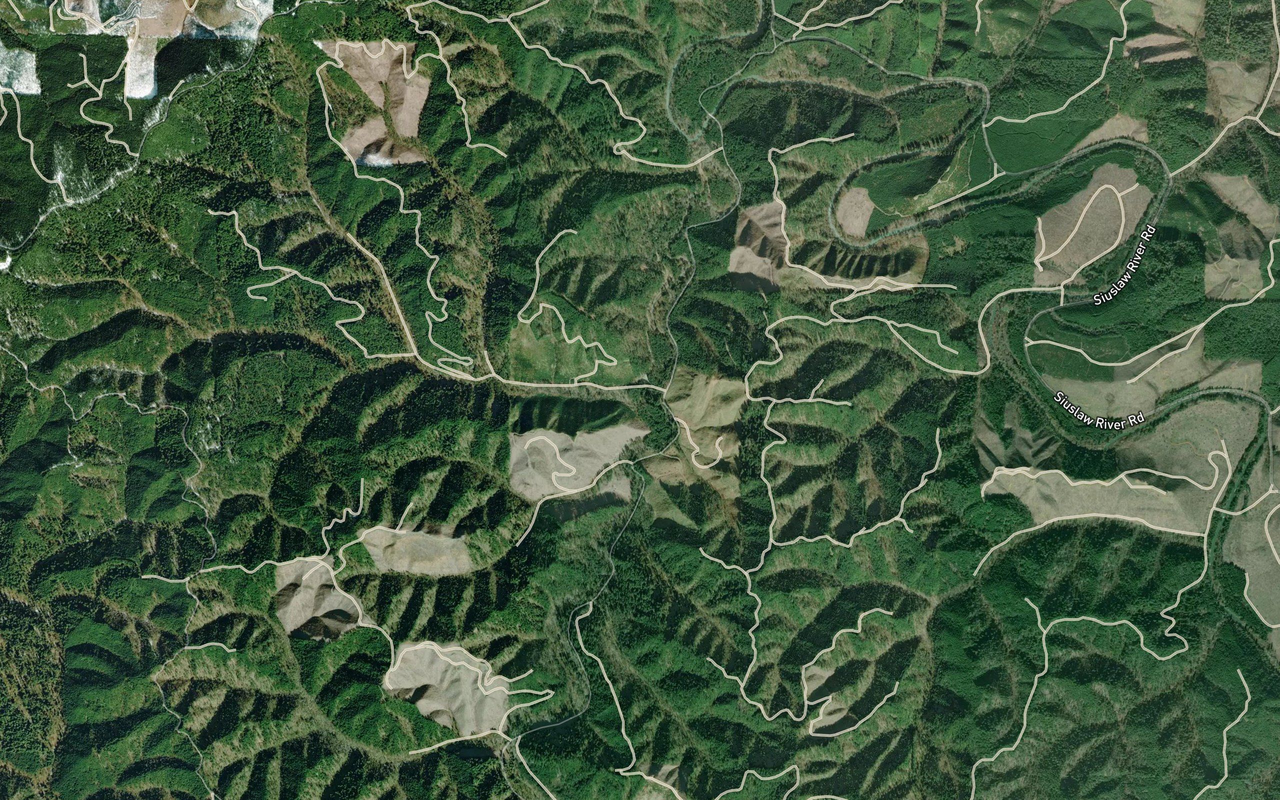 Leopold Creek