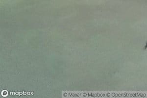 Estero de las Guasimas