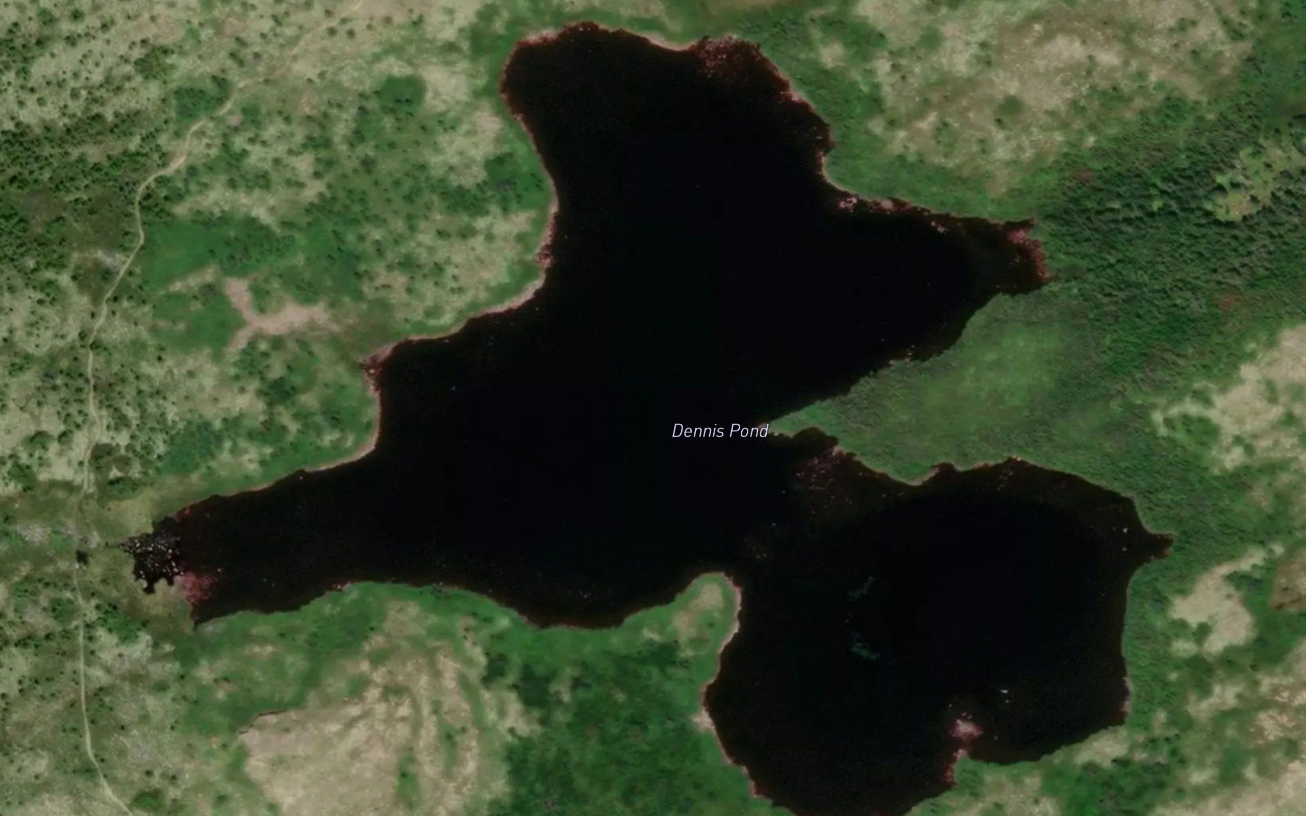 Dennis Pond