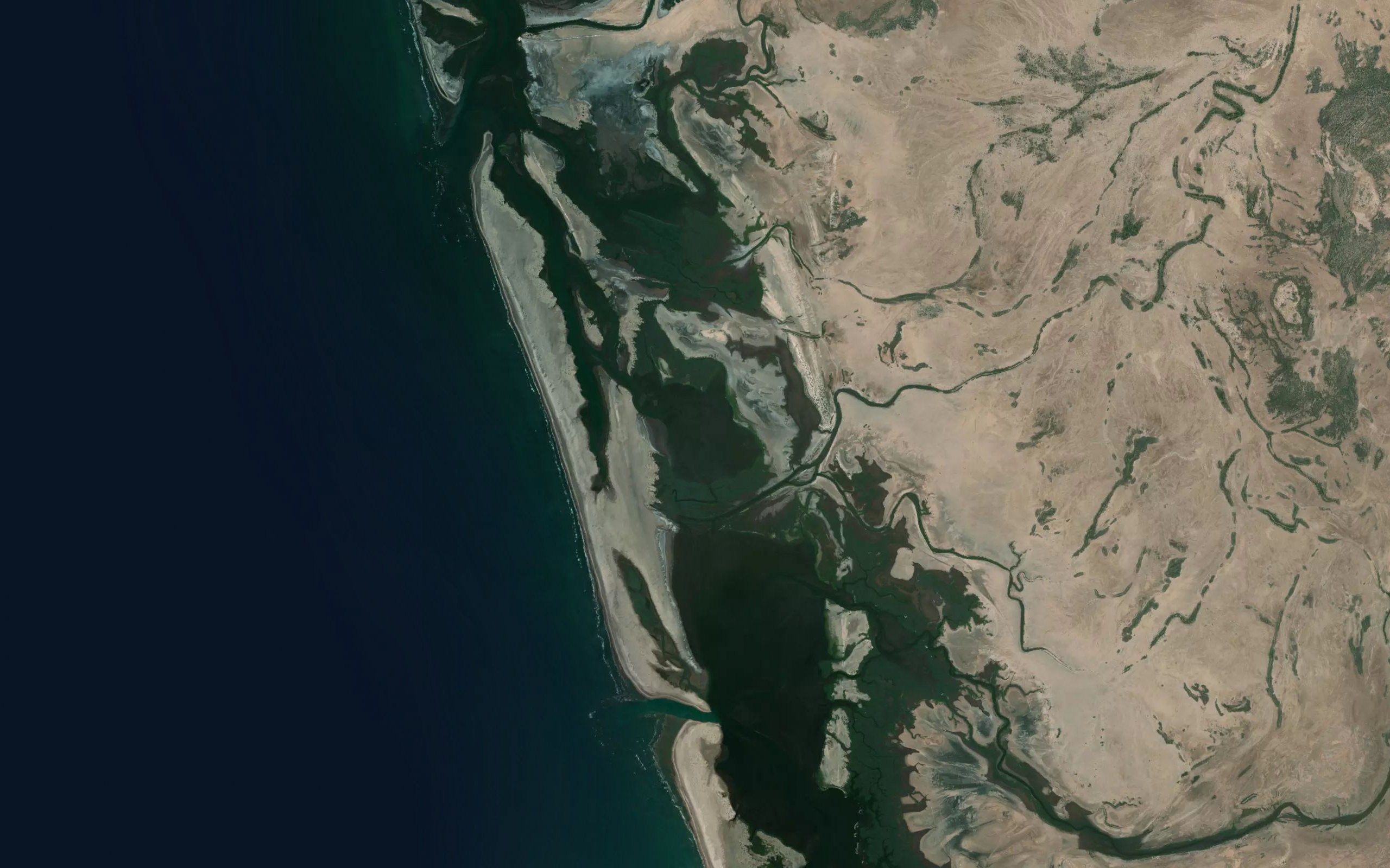 Estero las Palomas