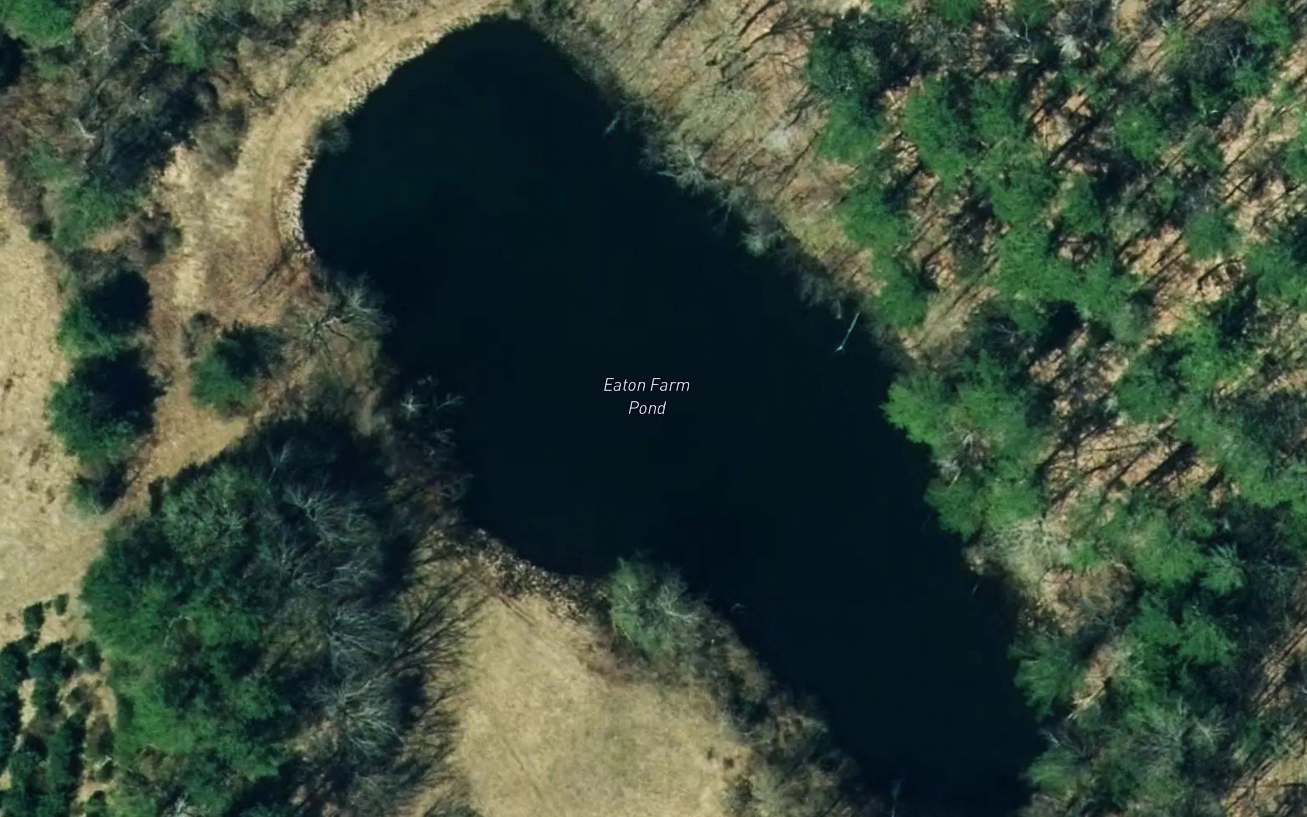 McIntosh Pond