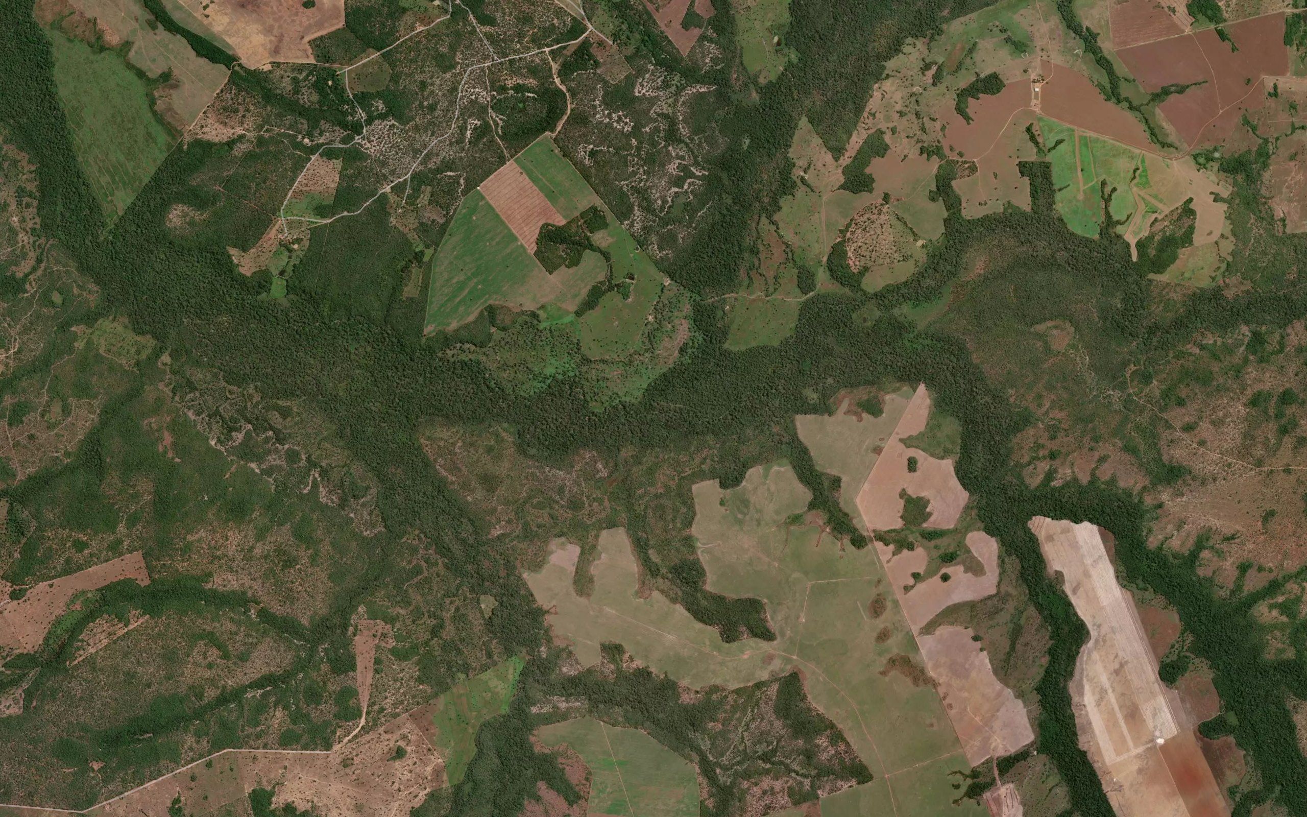 Corrego Socavao