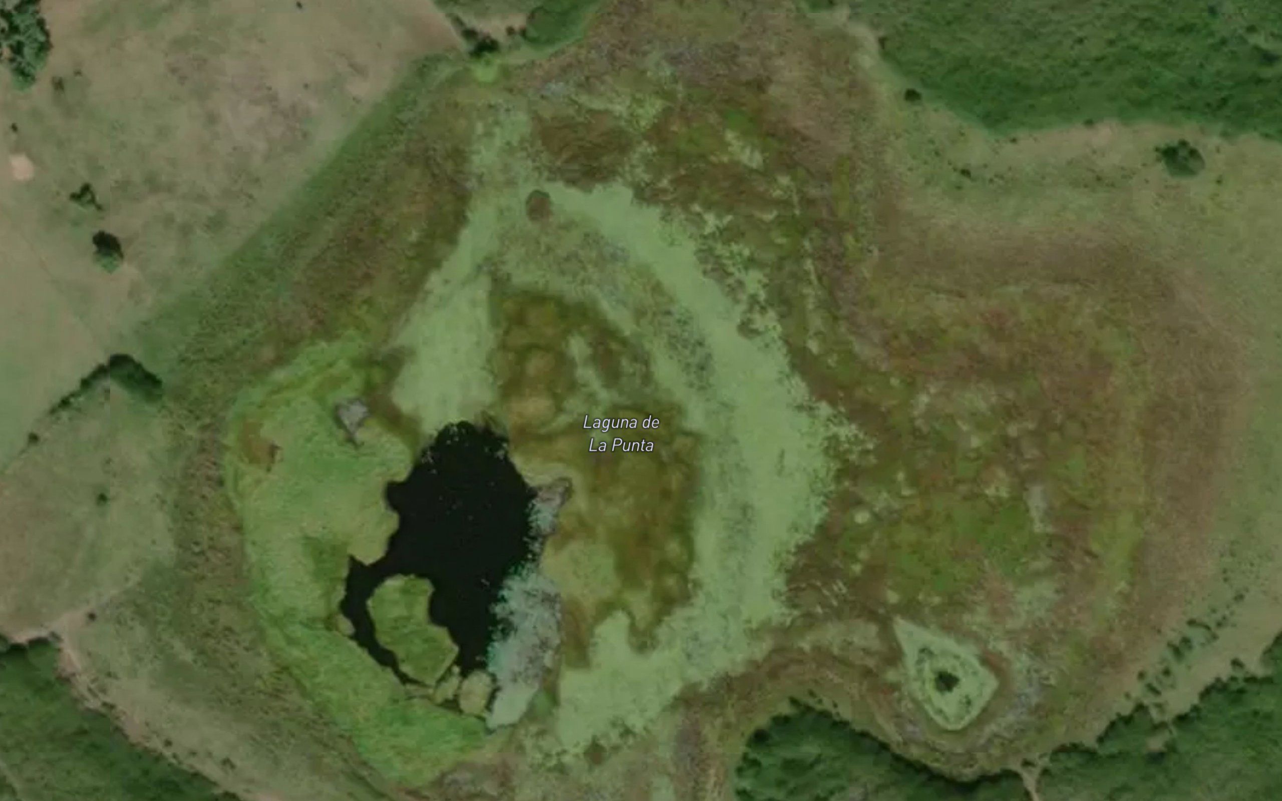 Laguna de La Punta