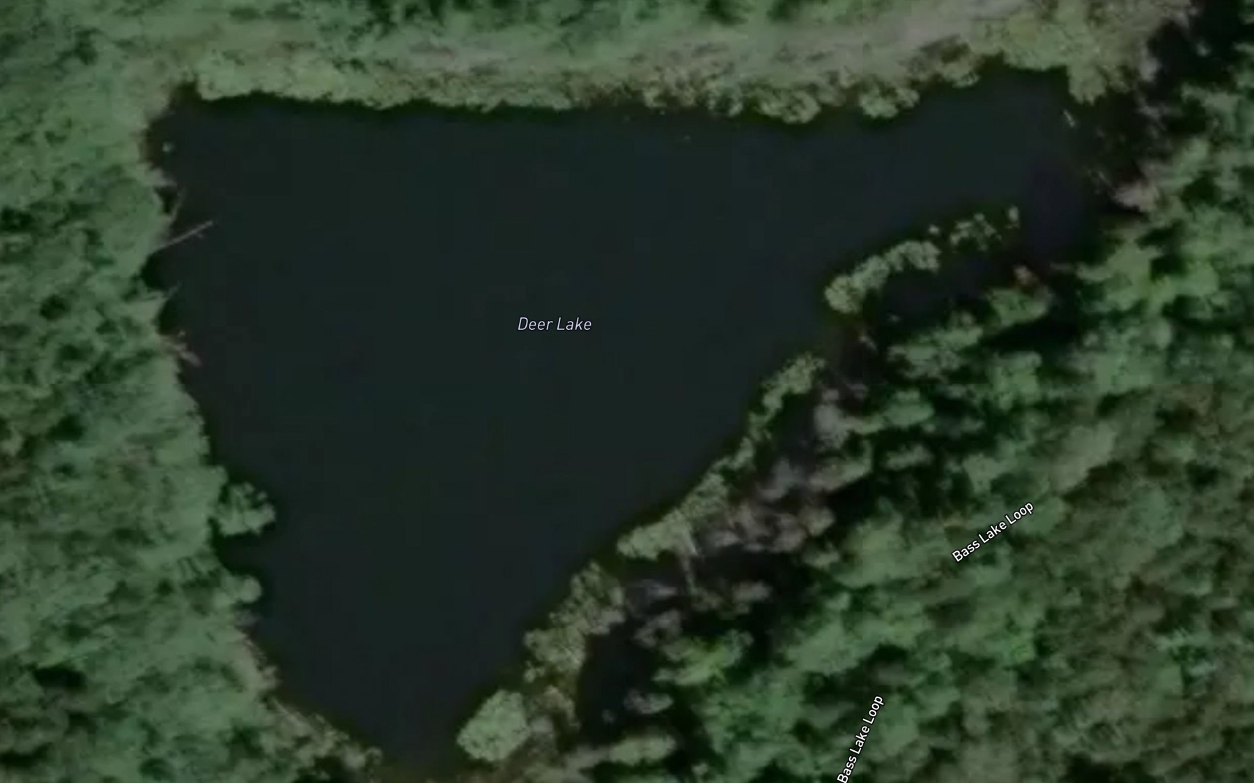 Satellite map of the Deer Lake