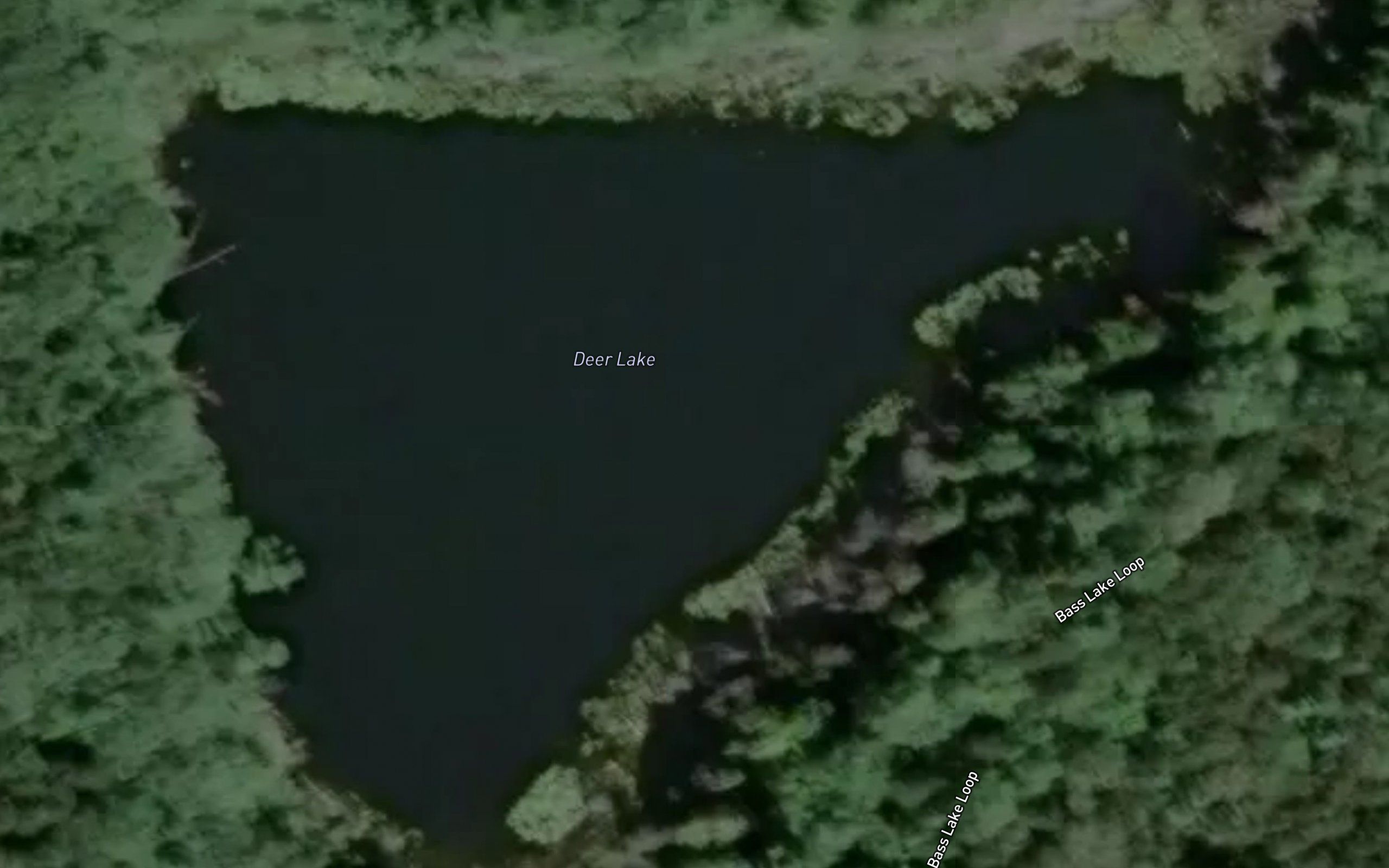 Deer Lake