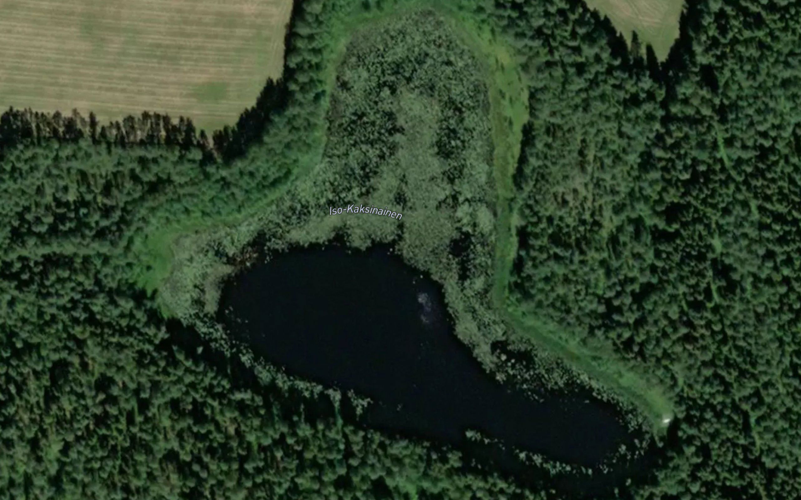 Iso-Kaksinainen