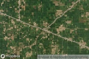 Fazal One Left Minor