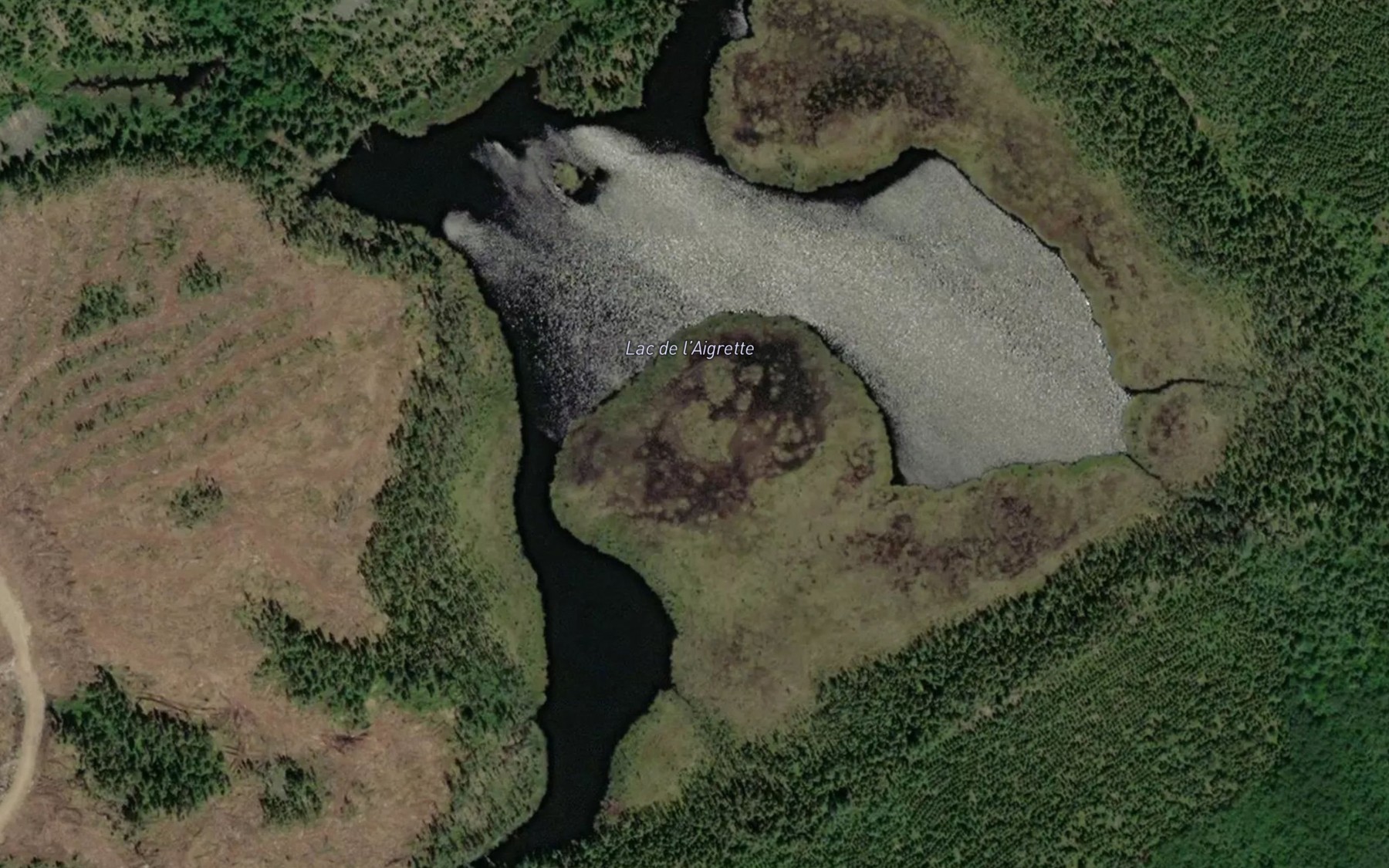 Satellite map of the Lac de l'Aigrette