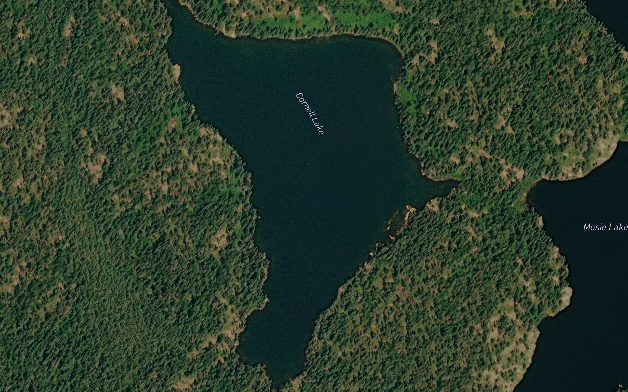 Cornell Lake