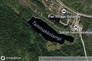 Tammakkolampi
