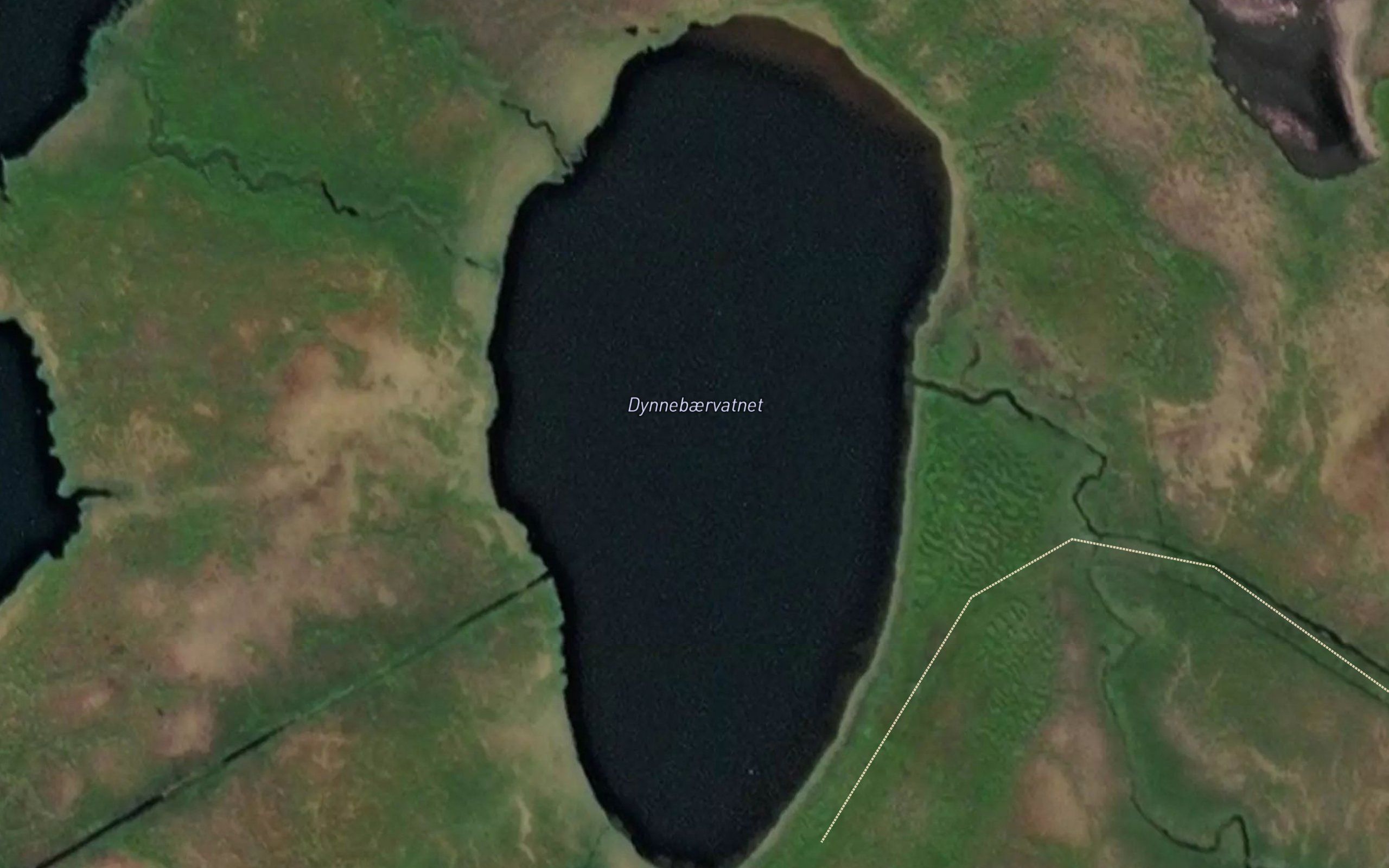 Dynnebaervatnet
