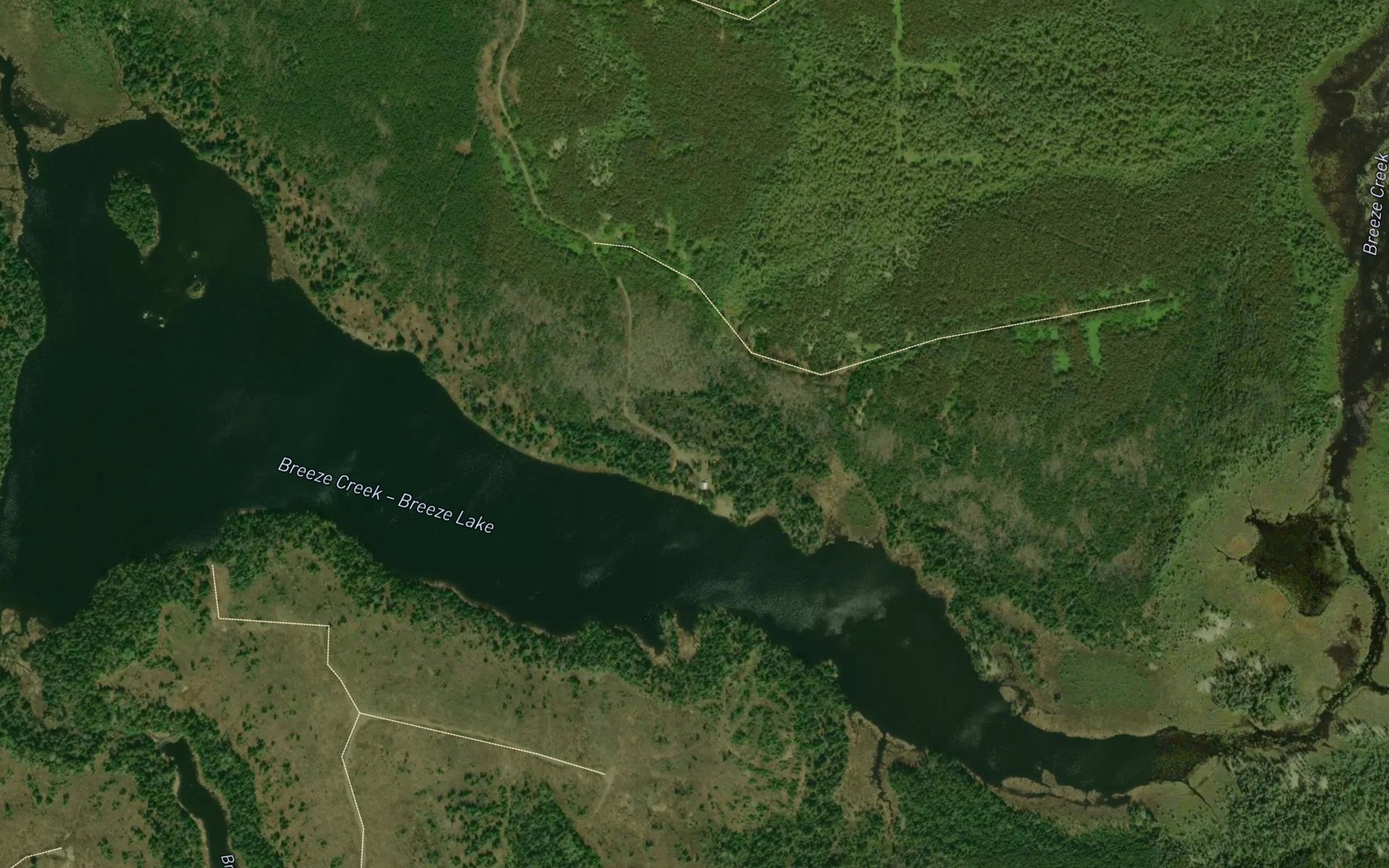 Satellite map of the Breeze Lake