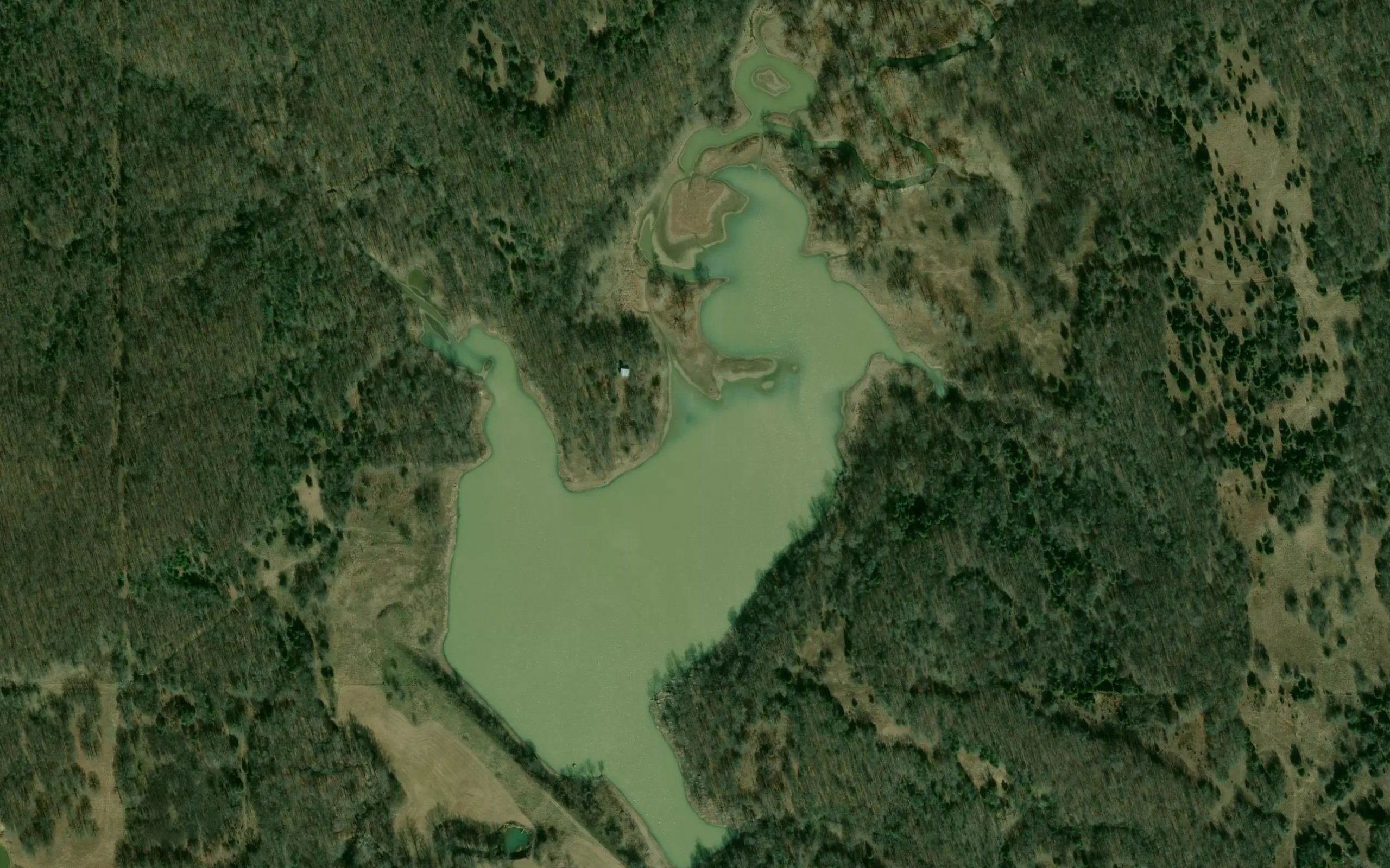 Upper Clear Boggy Creek Site 47 Reservoir