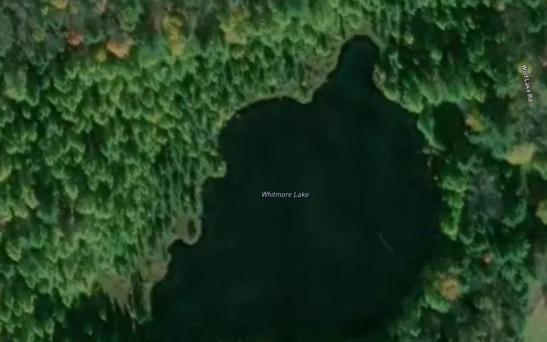 Satellite map of the Whitmore Lake