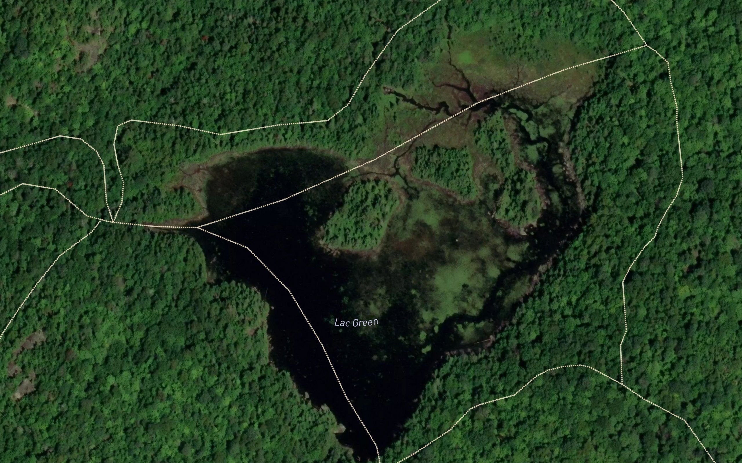 Lac Green