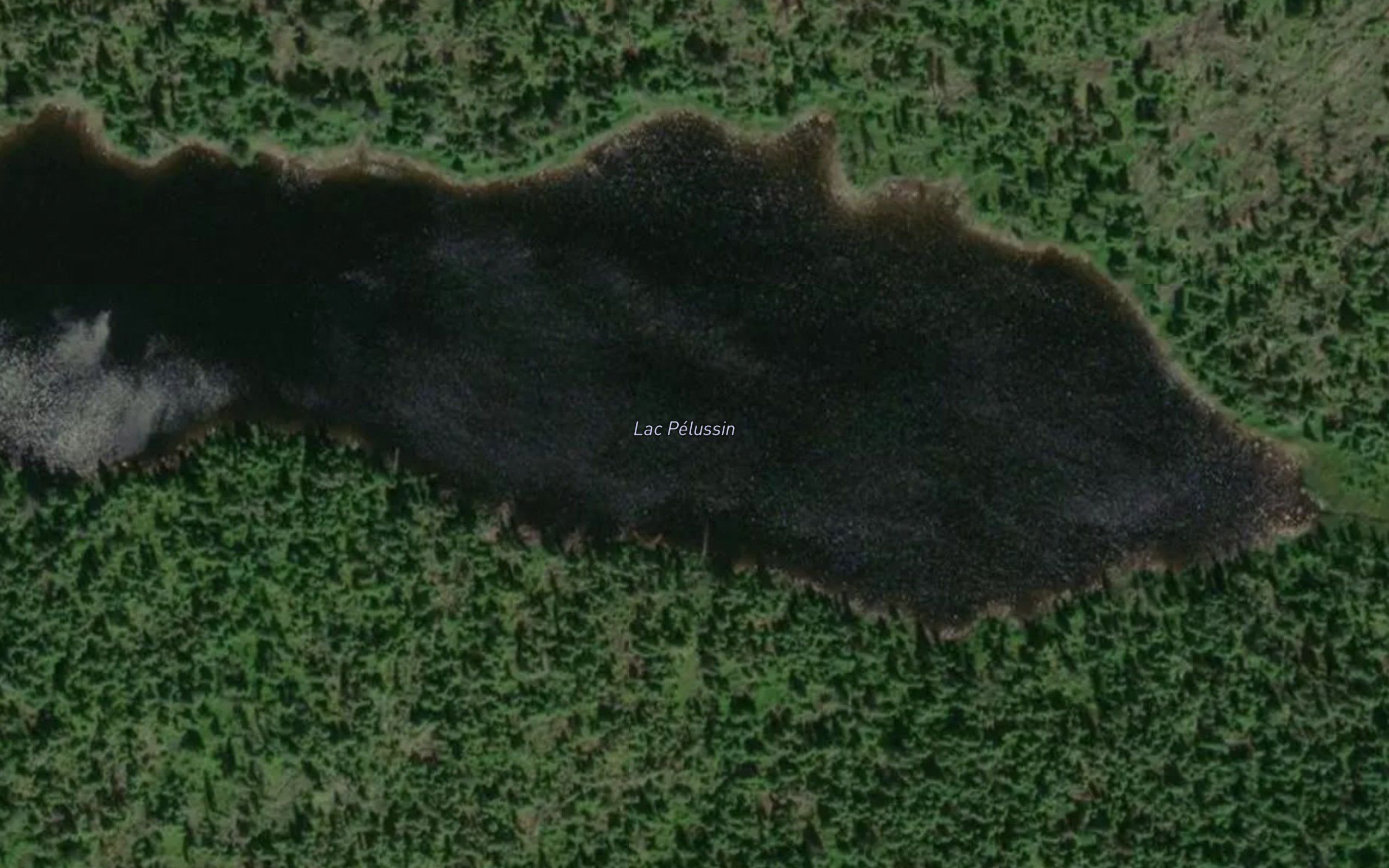 Lac Pelussin