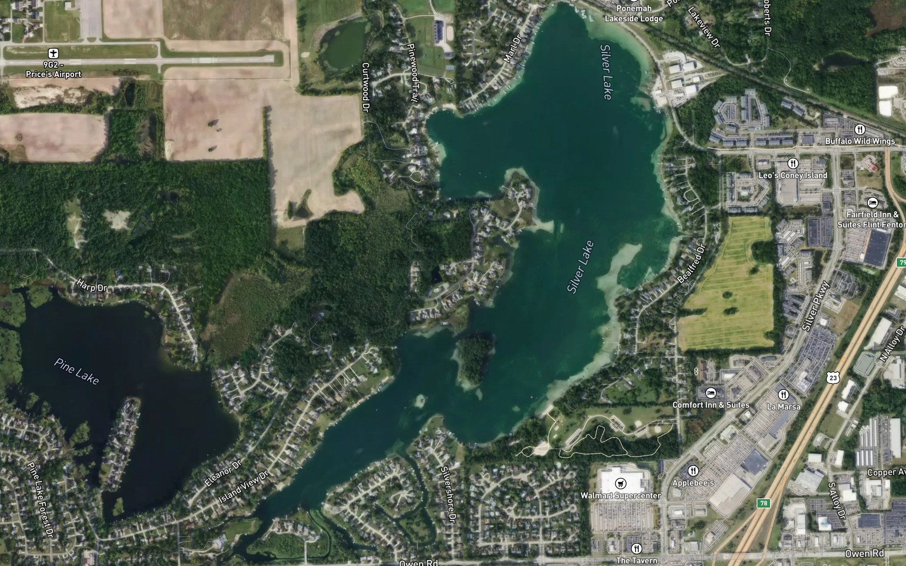 Satellite map of the Silver Lake