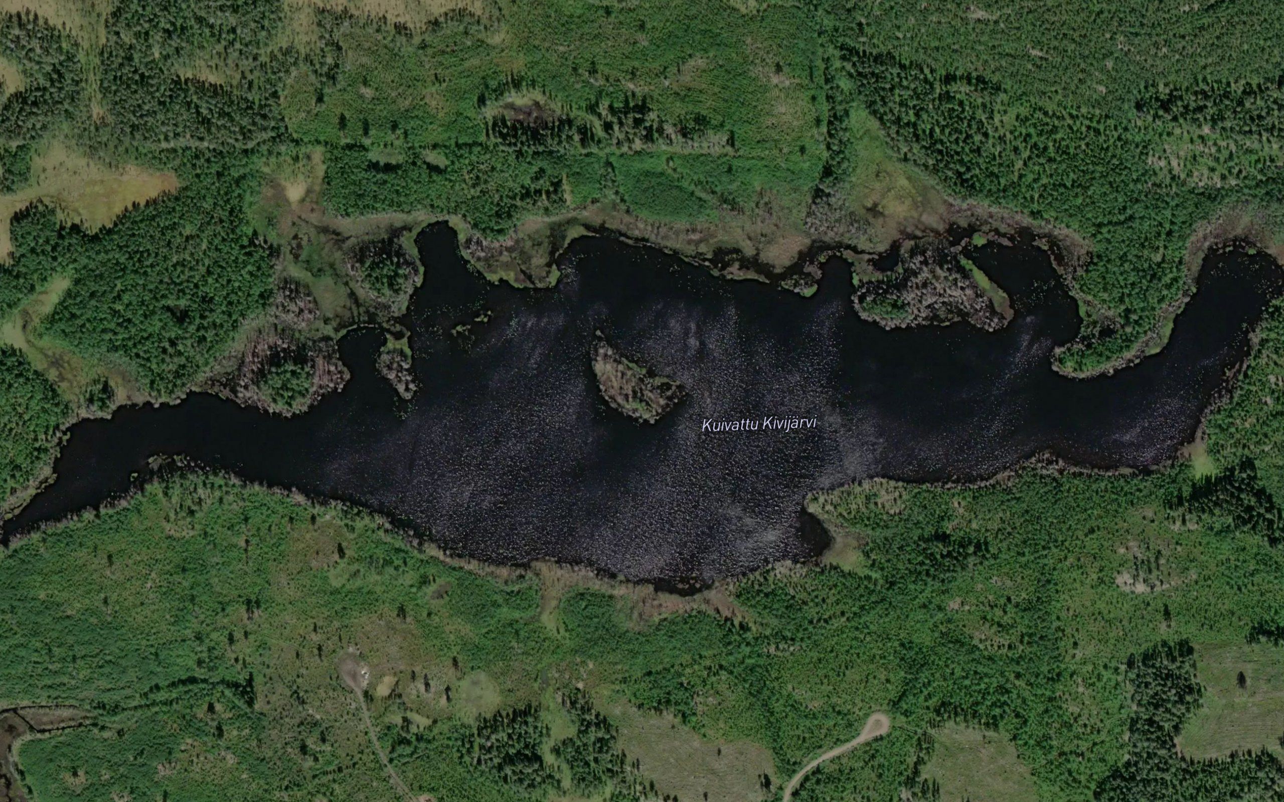 Kuivattu Kivijarvi