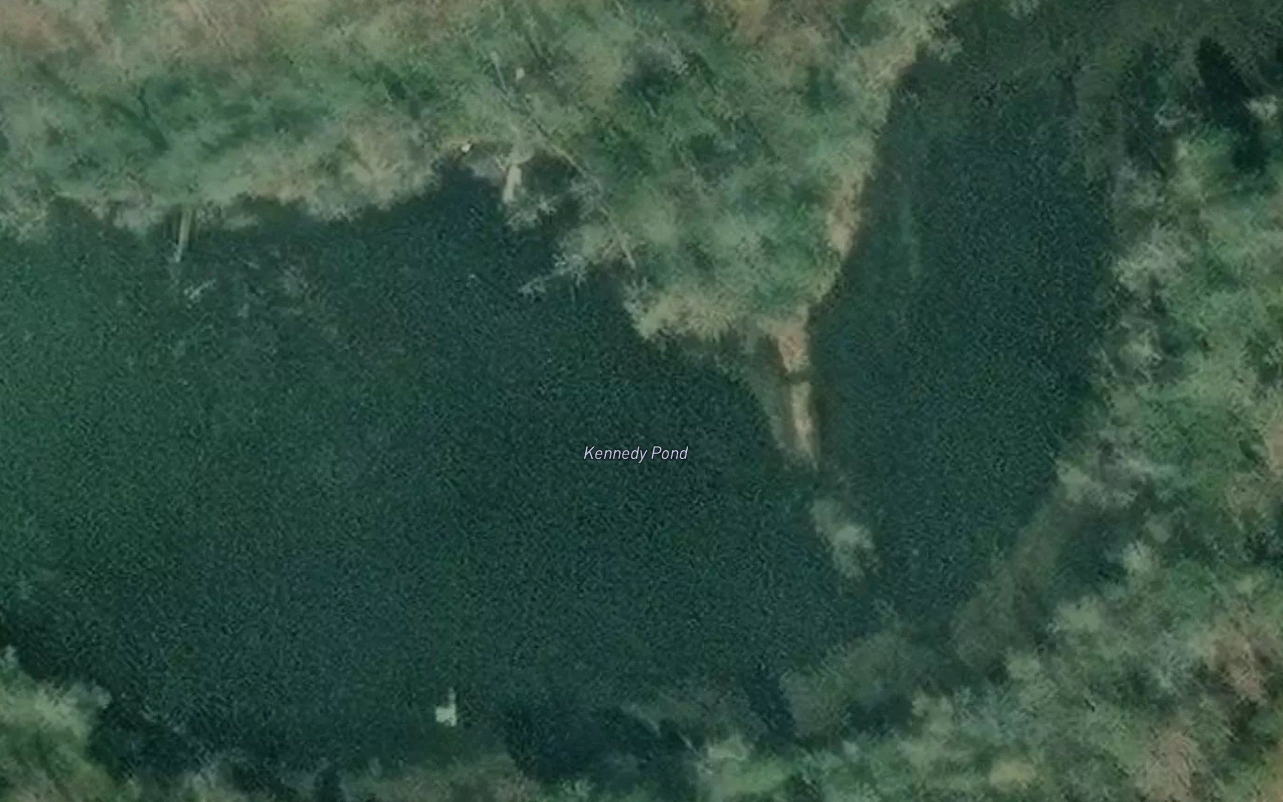 Kennedy Pond