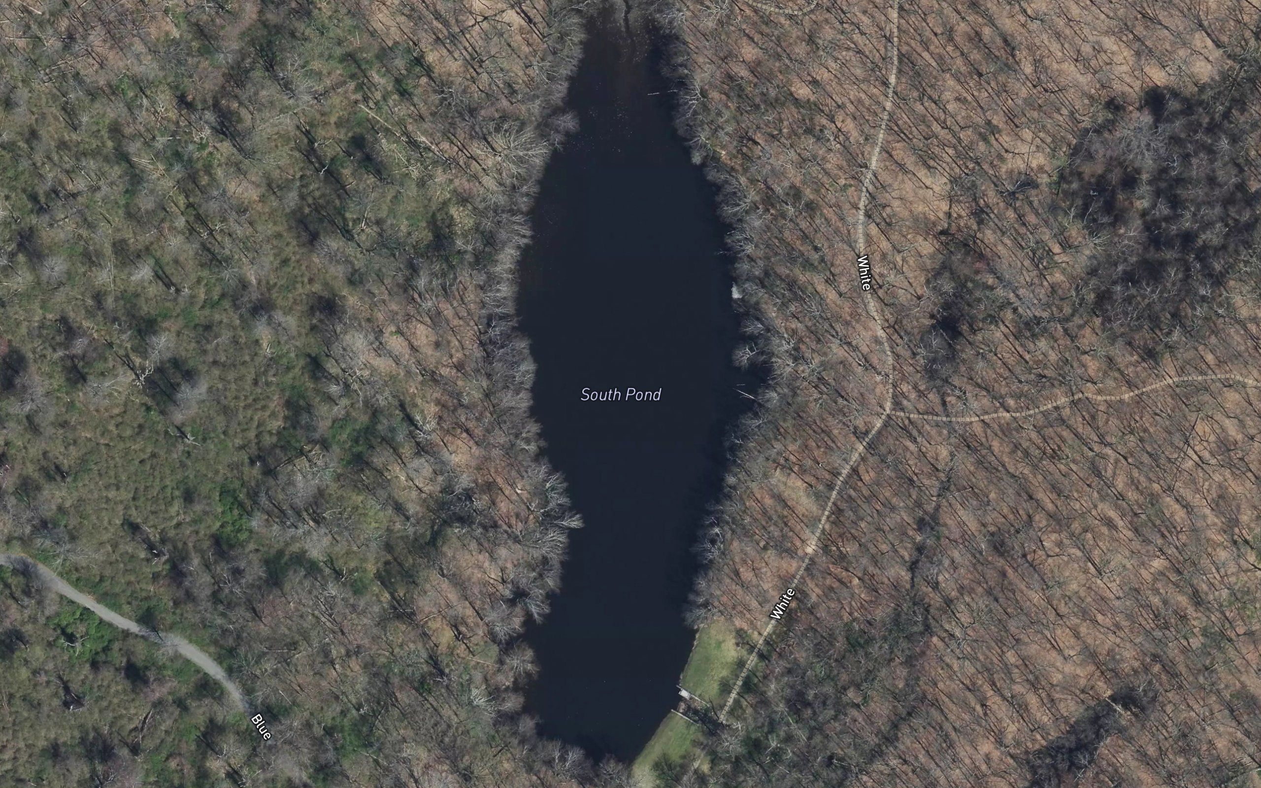 South Pond