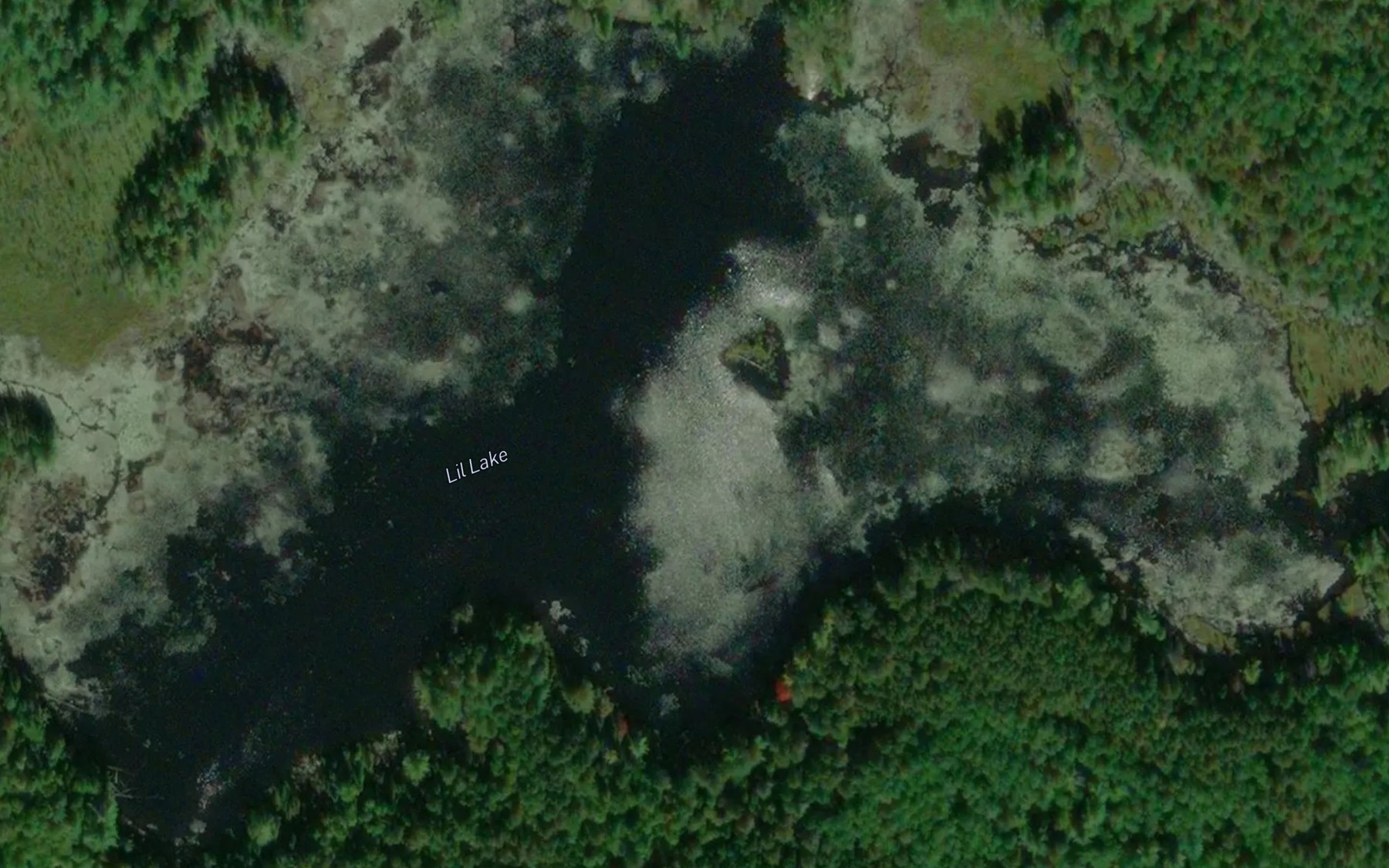 Satellite map of the Lil Lake