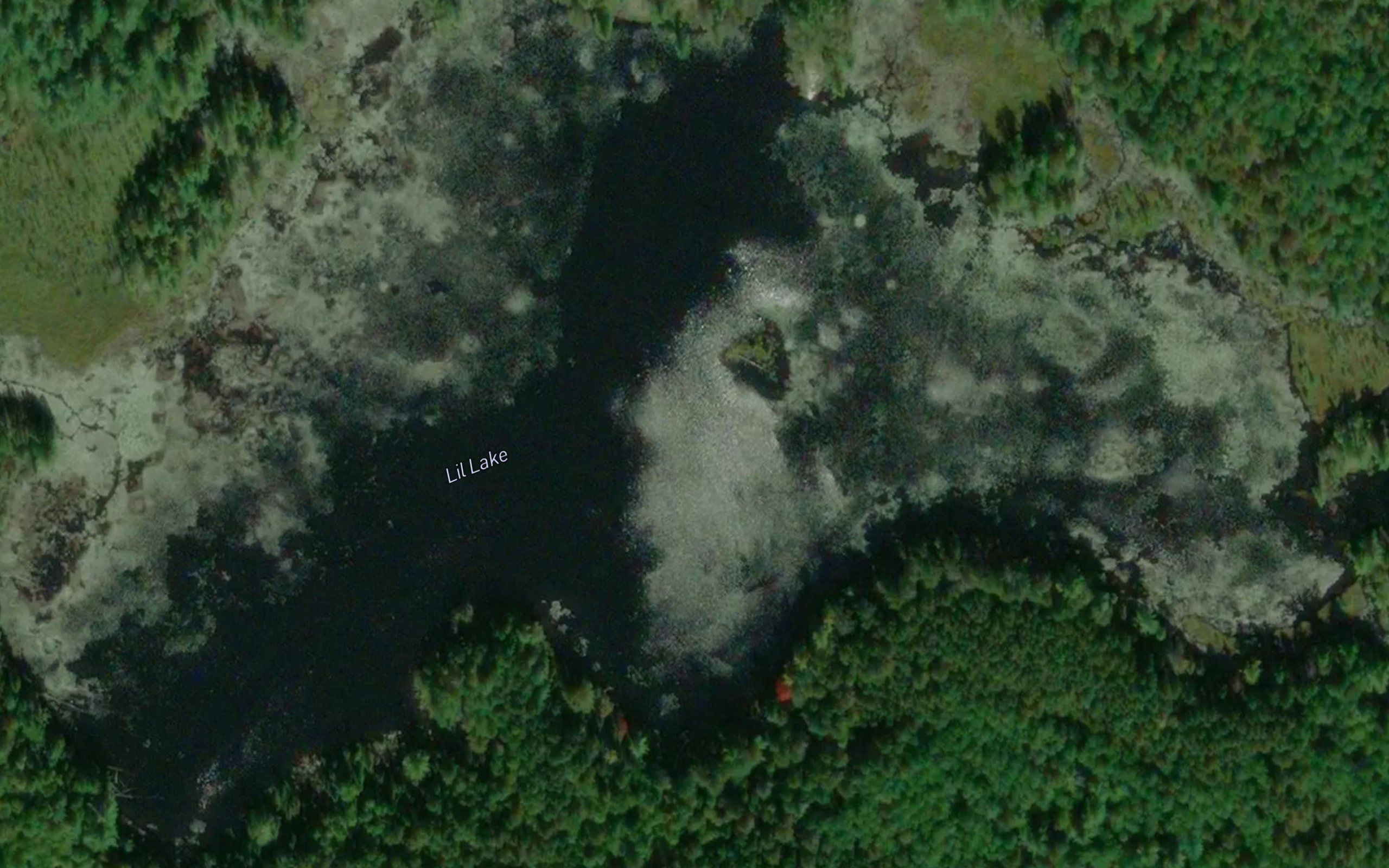Lil Lake