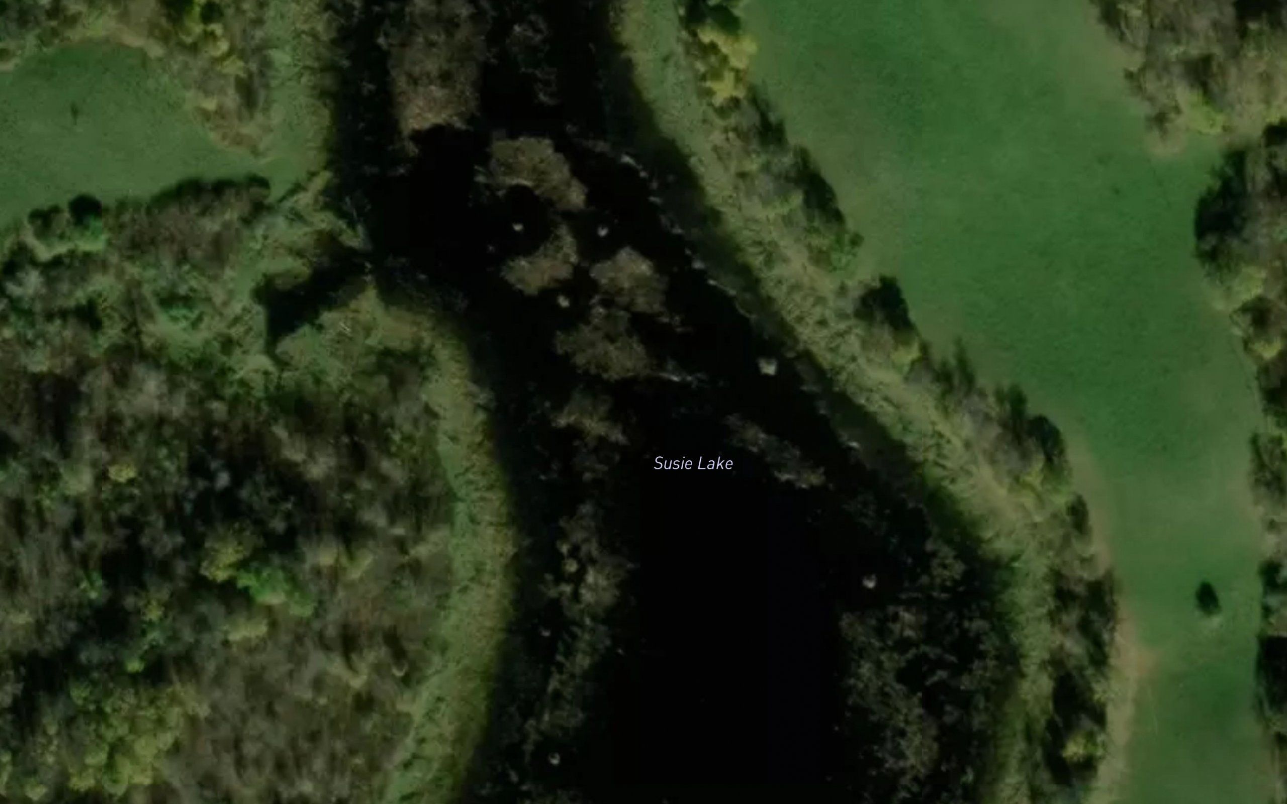 Susie Lake