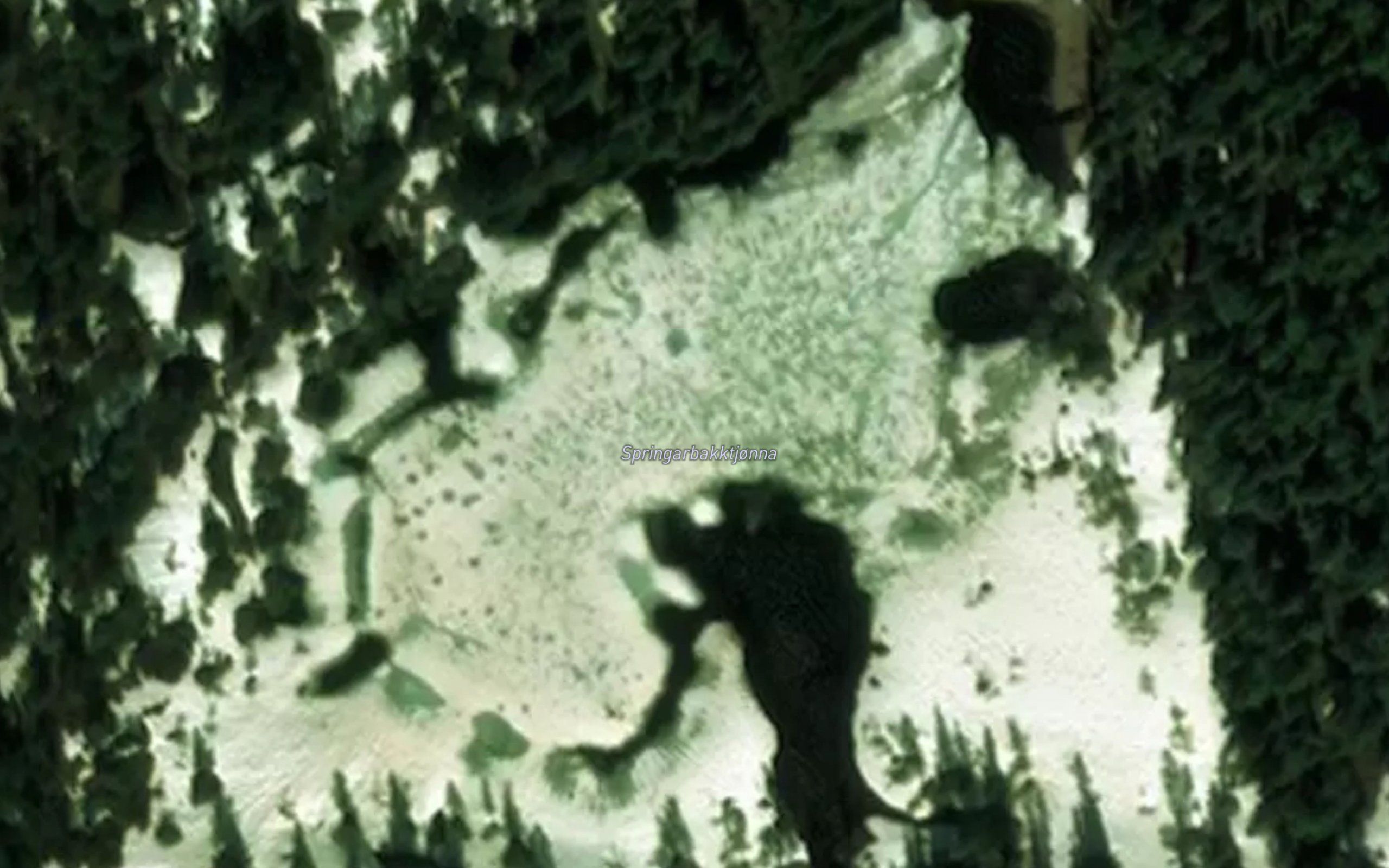 Springarbakktjorna