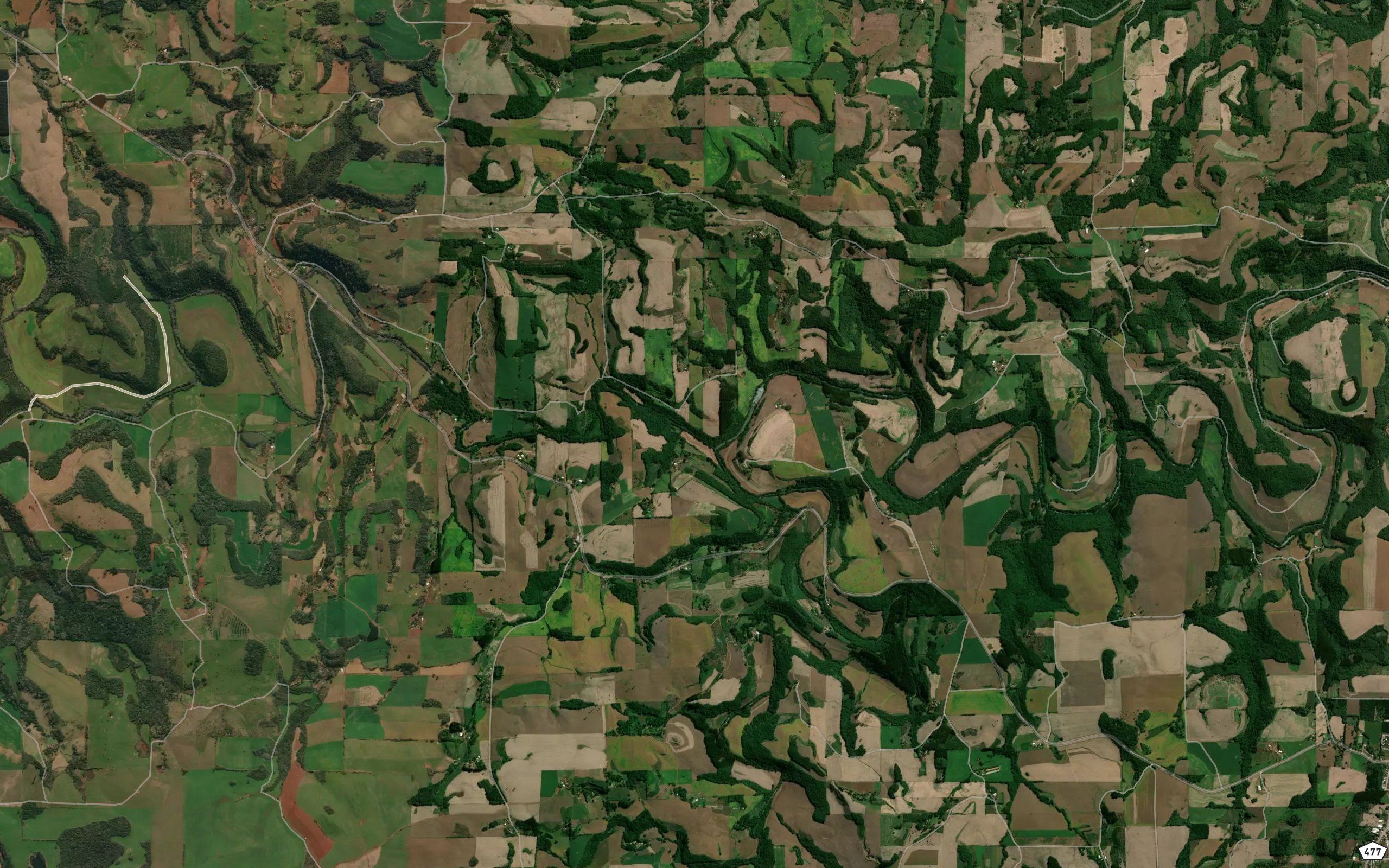 Rio Campo