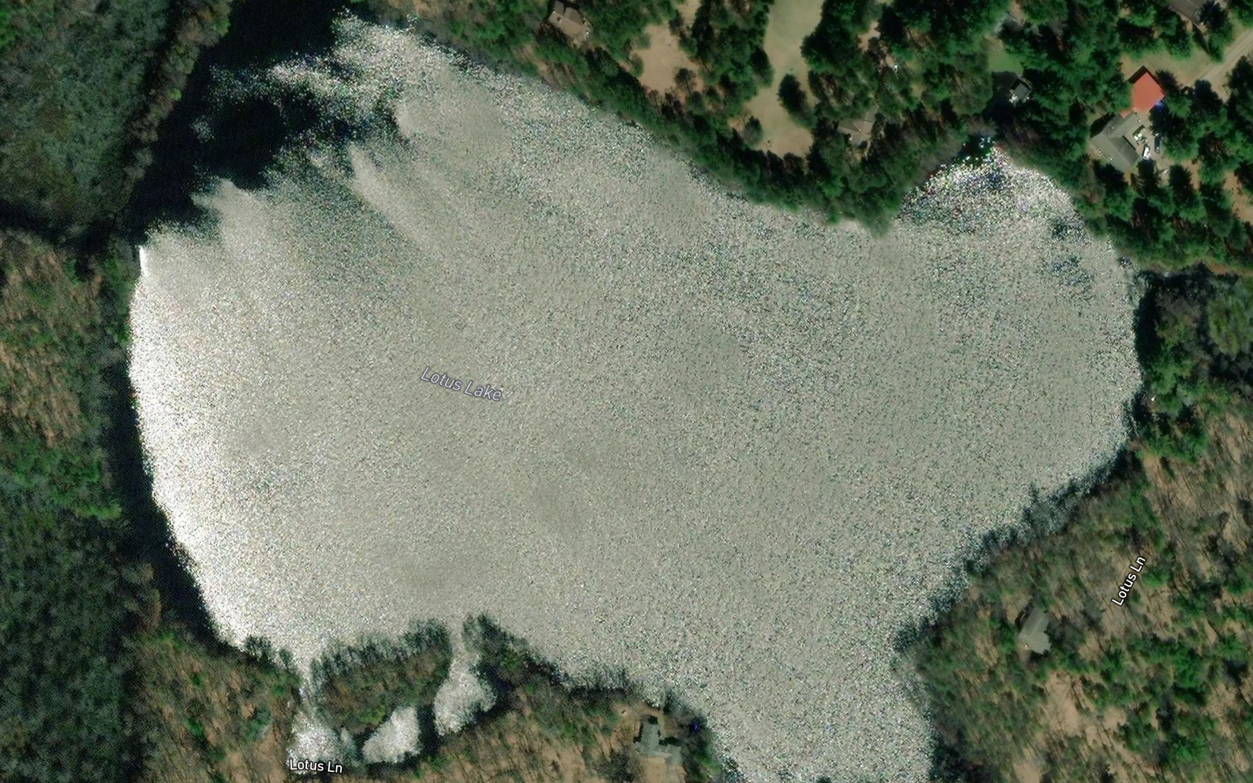 Satellite map of the Lotus Lake