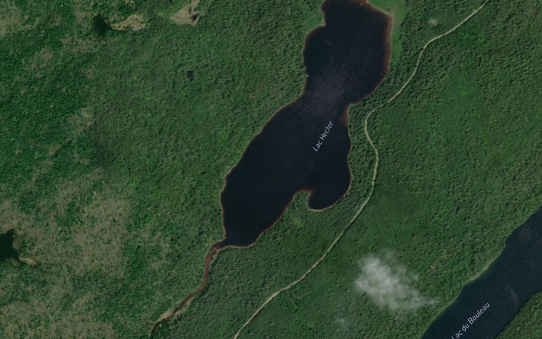 Satellite map of the Lac Hector