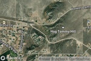 Hog Tommy Spring