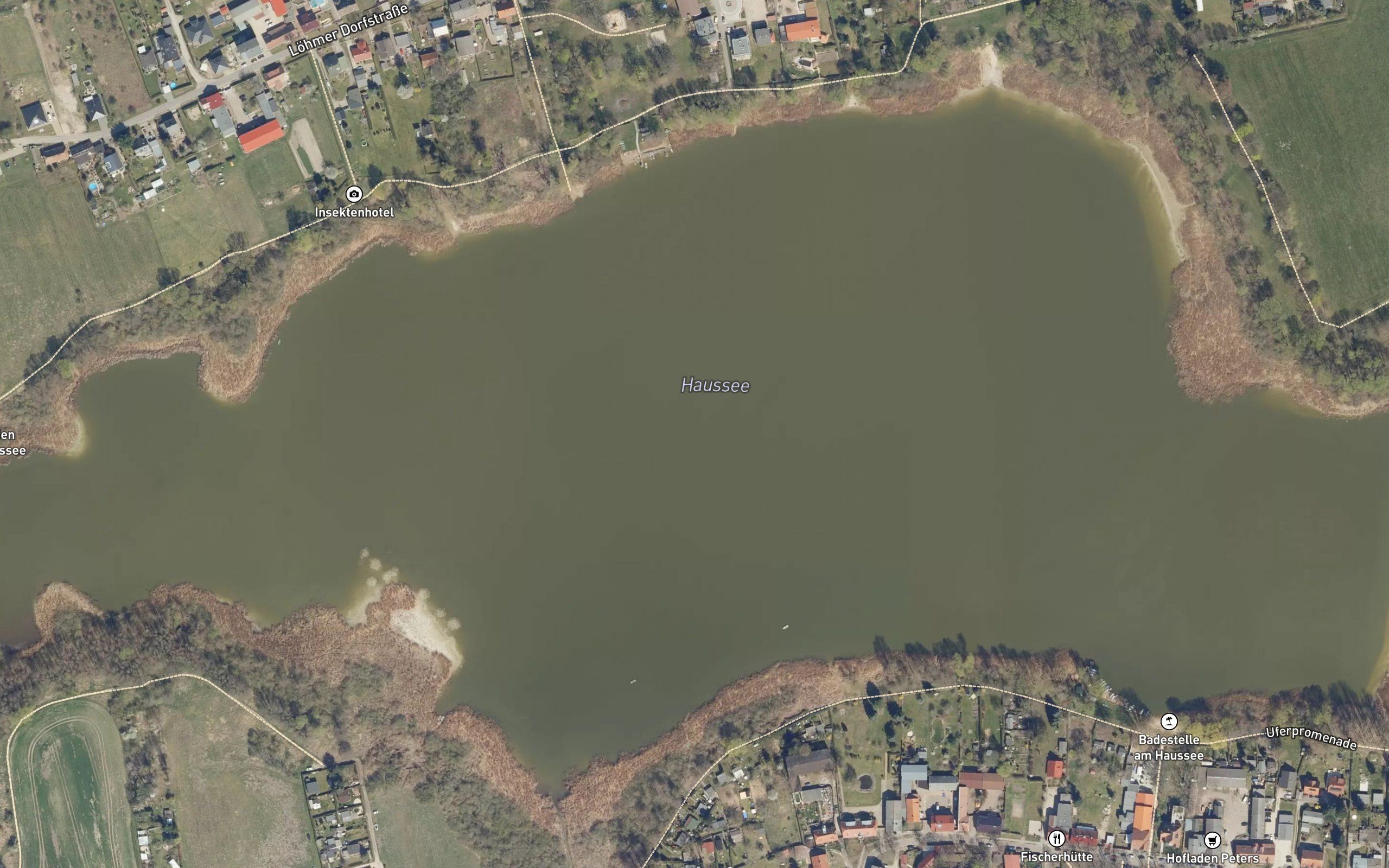 Haussee