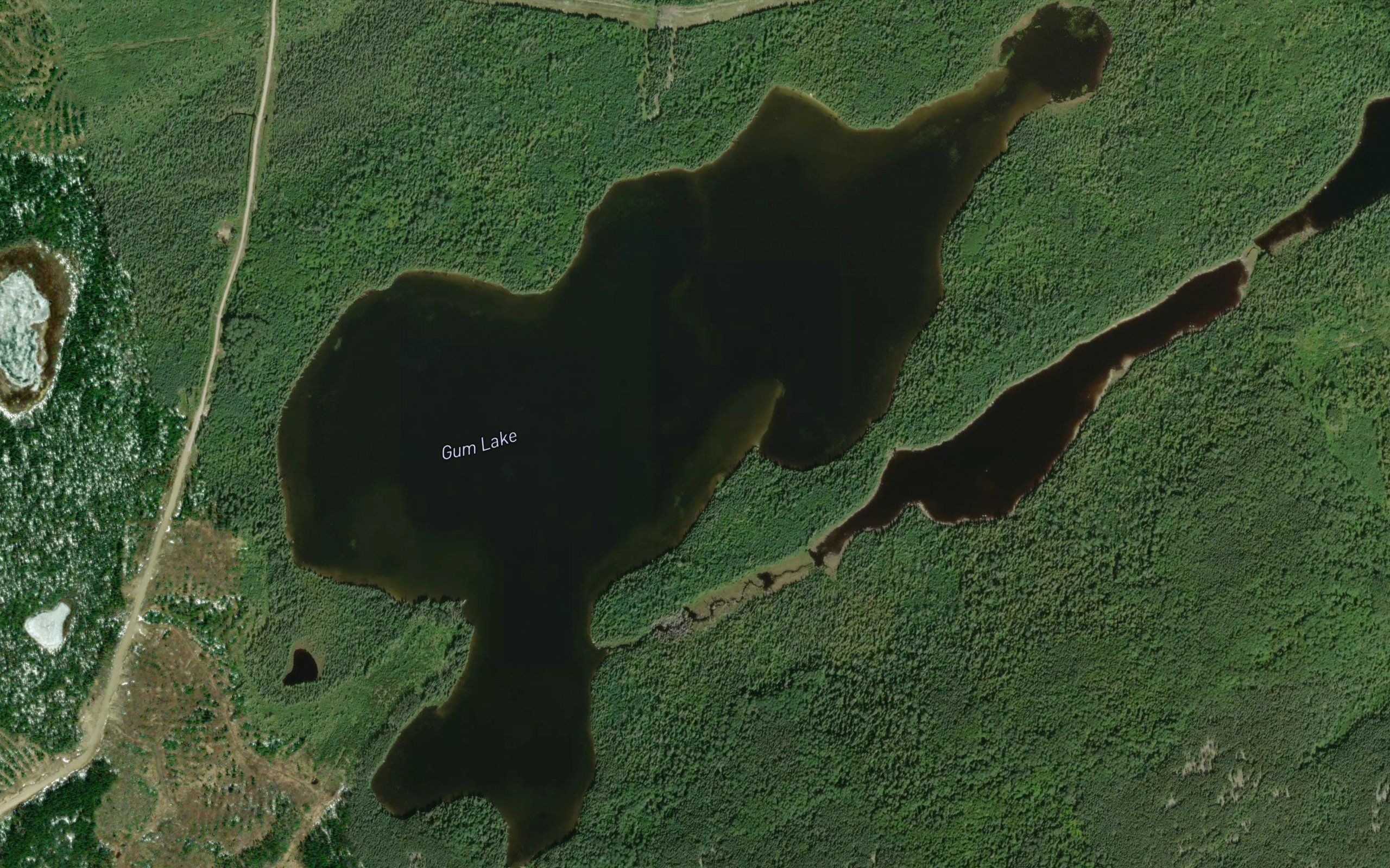Gum Lake