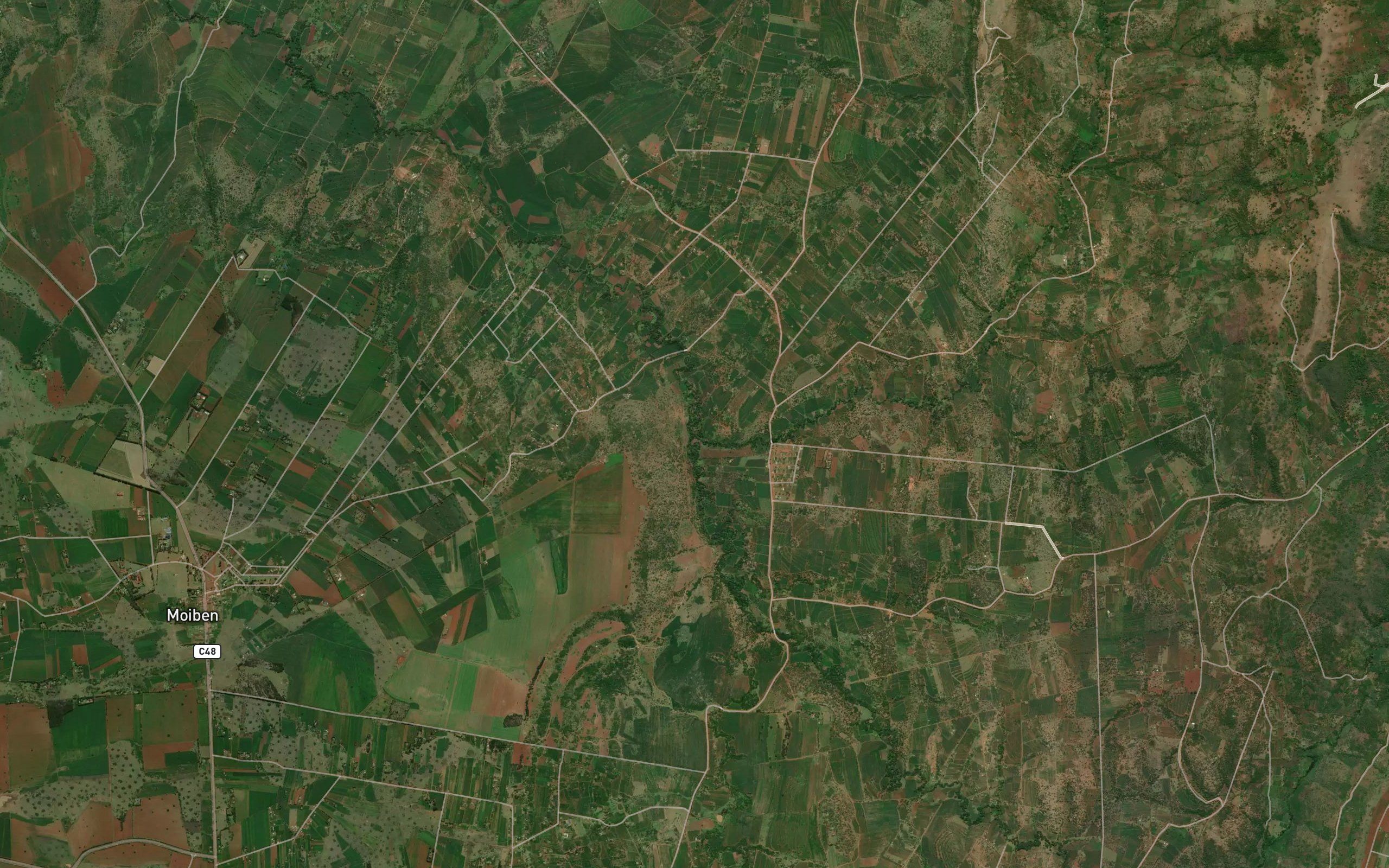 Charangai