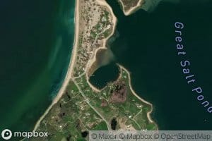 Cormorant Cove