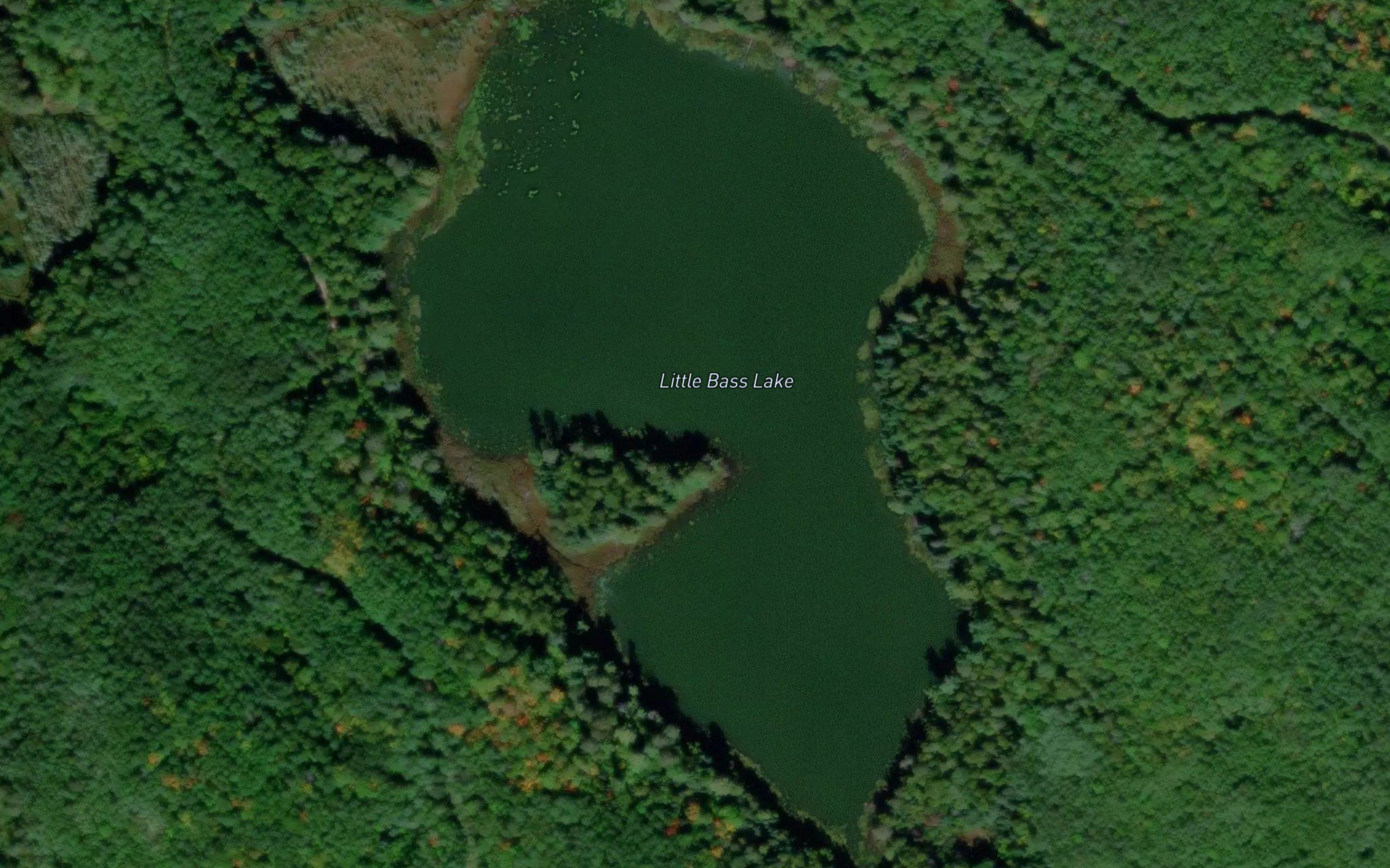 Little Bass Lake