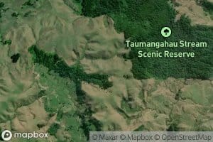Taumangahau Stream