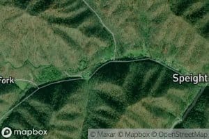 Yonts Branch