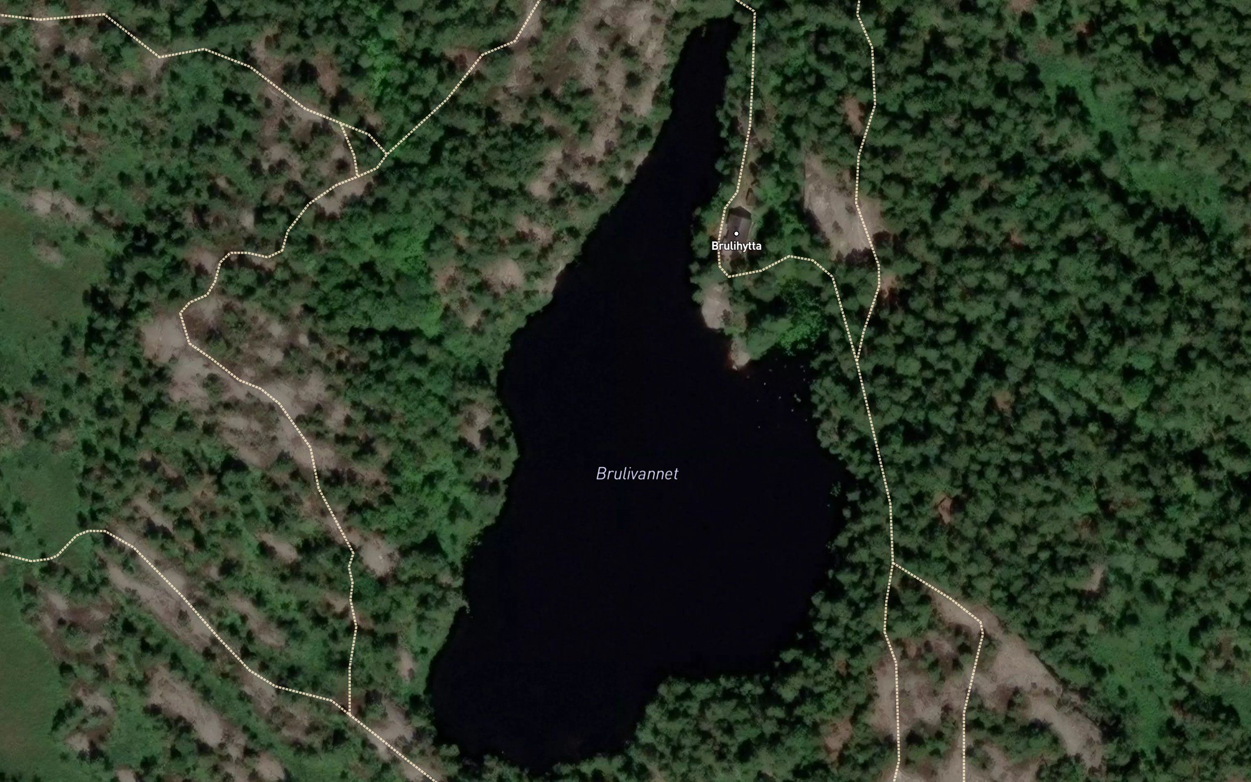 Brulivann