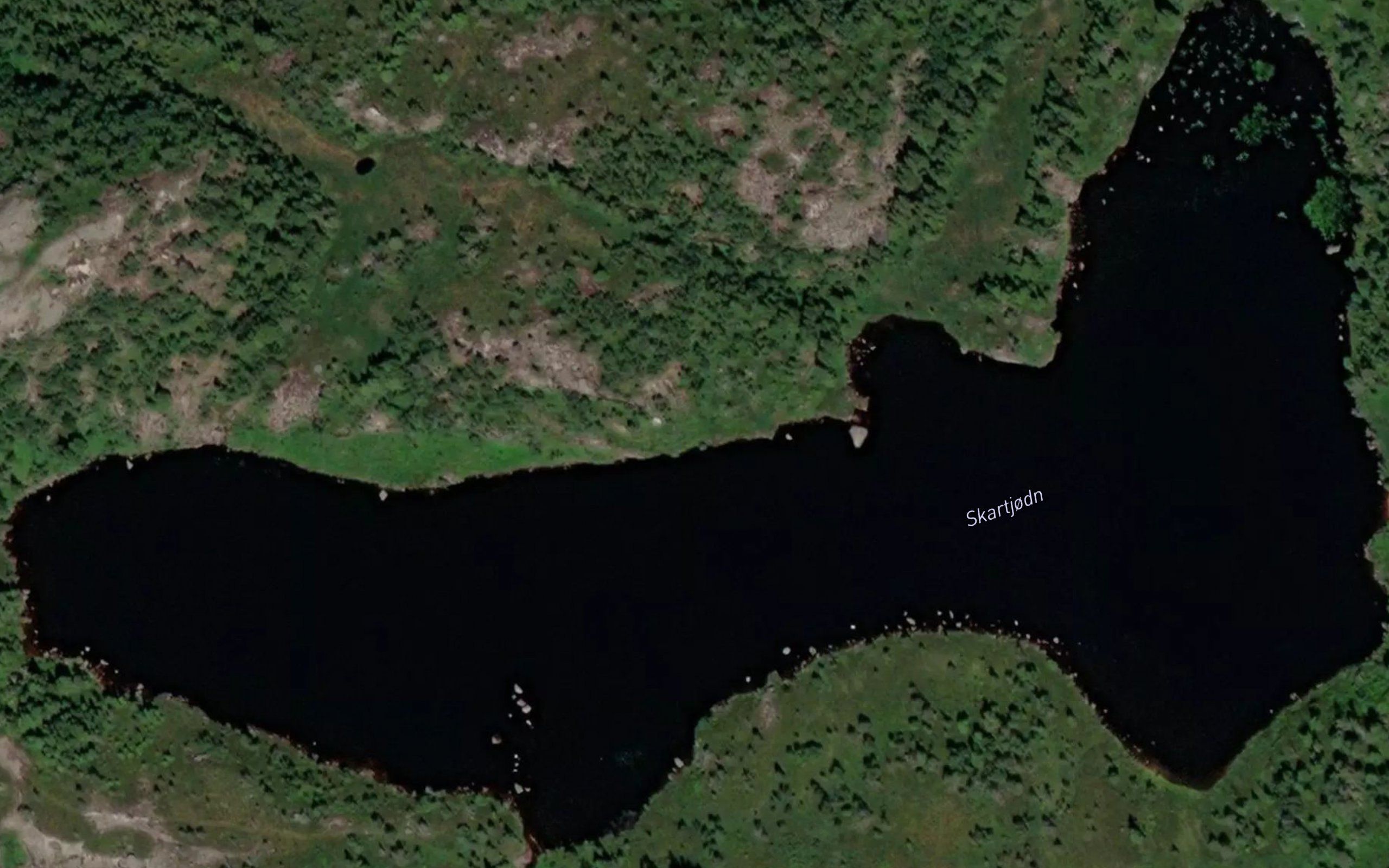Skardtjorn