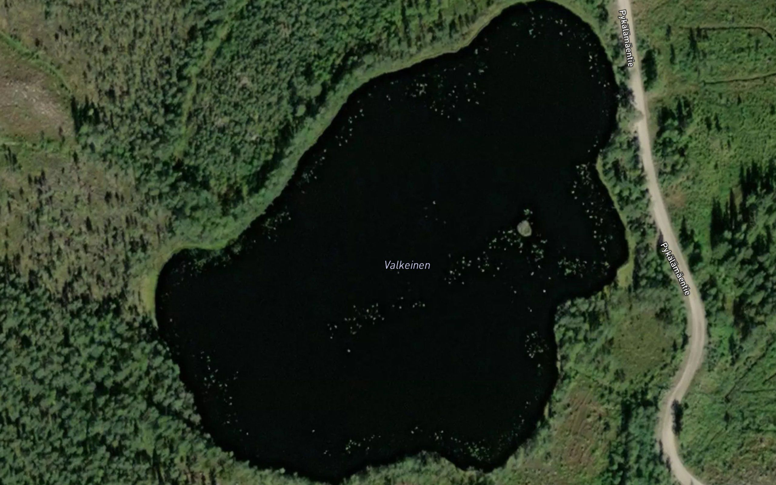 Valkeinen