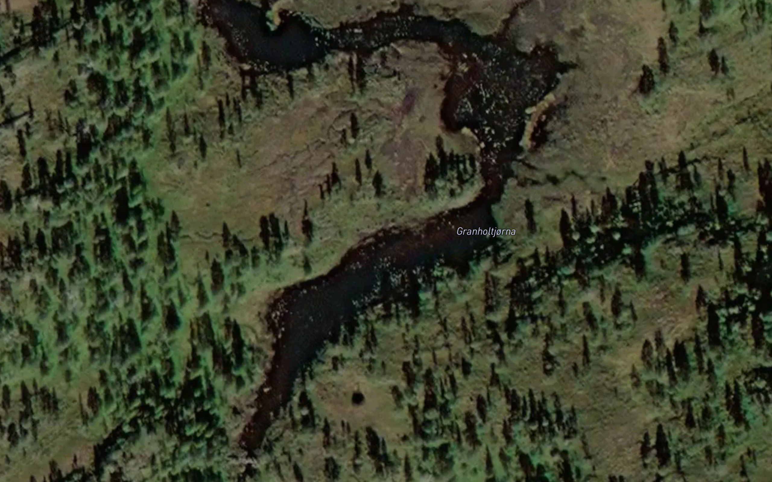 Granholtjorna
