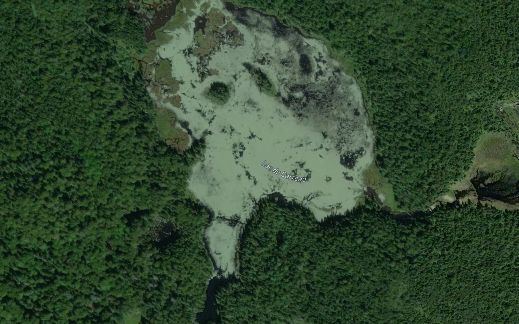 Satellite map of the Lac du Carreau