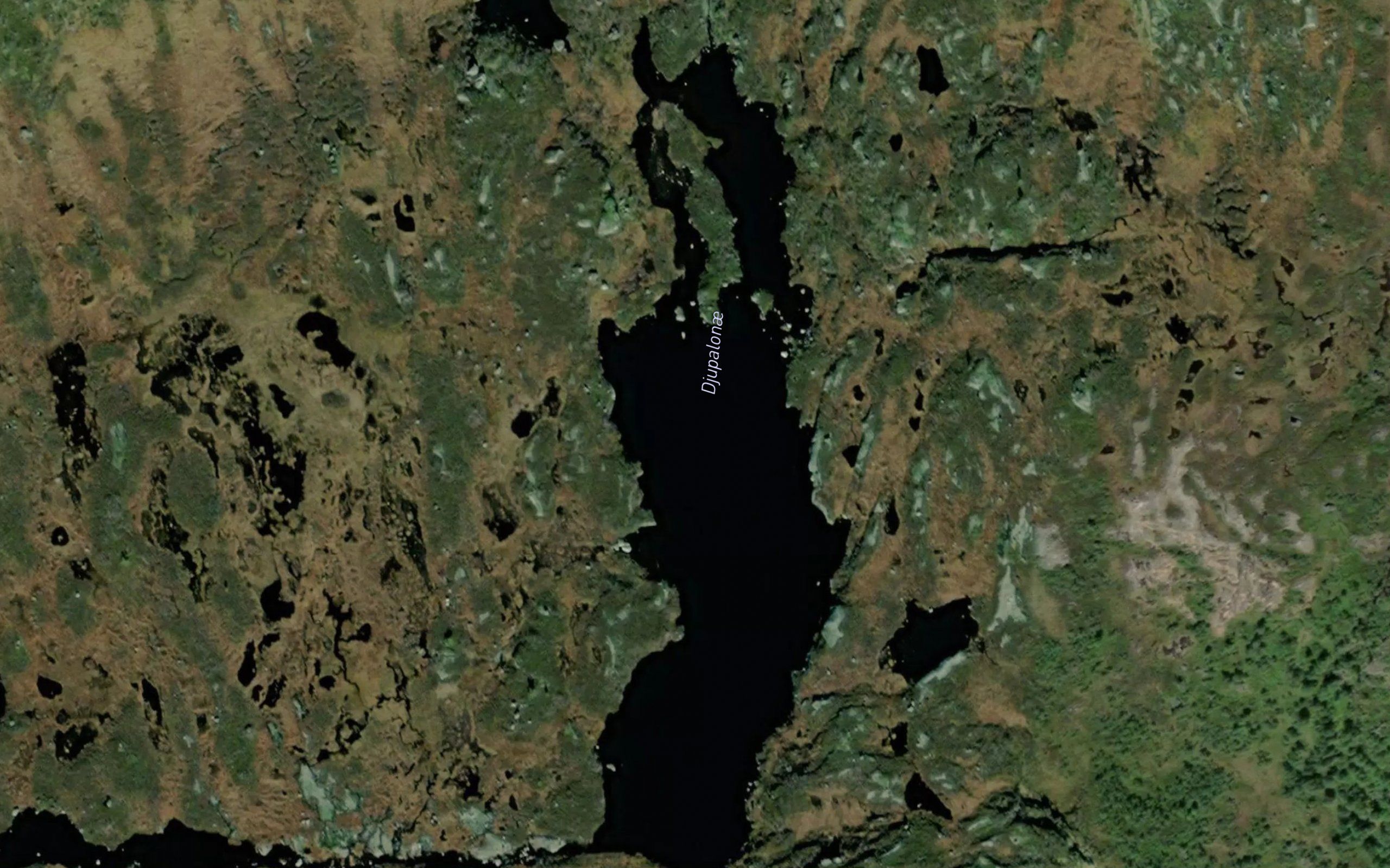 Djupalonae