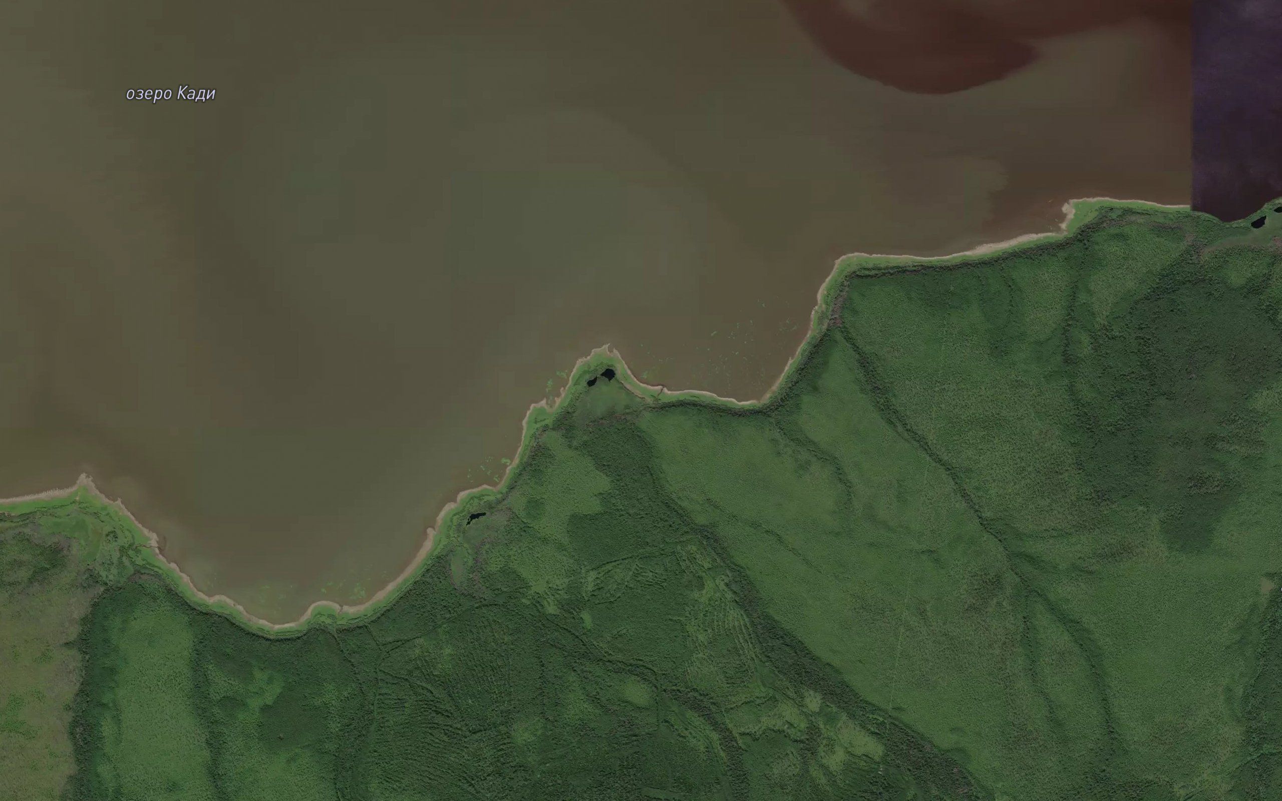 Krivoy