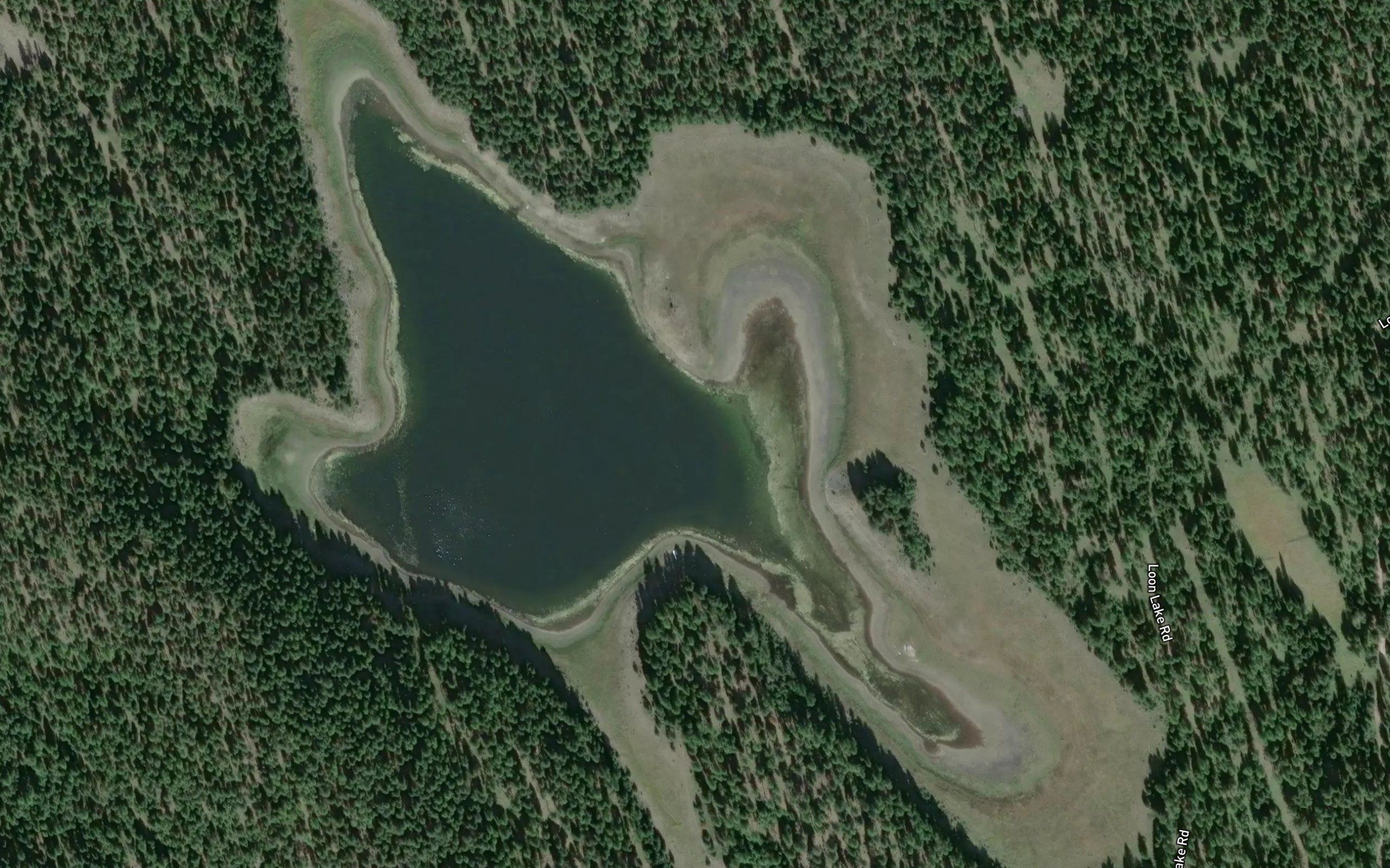 Loon Lake