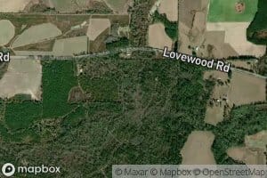 Little Alligator Creek