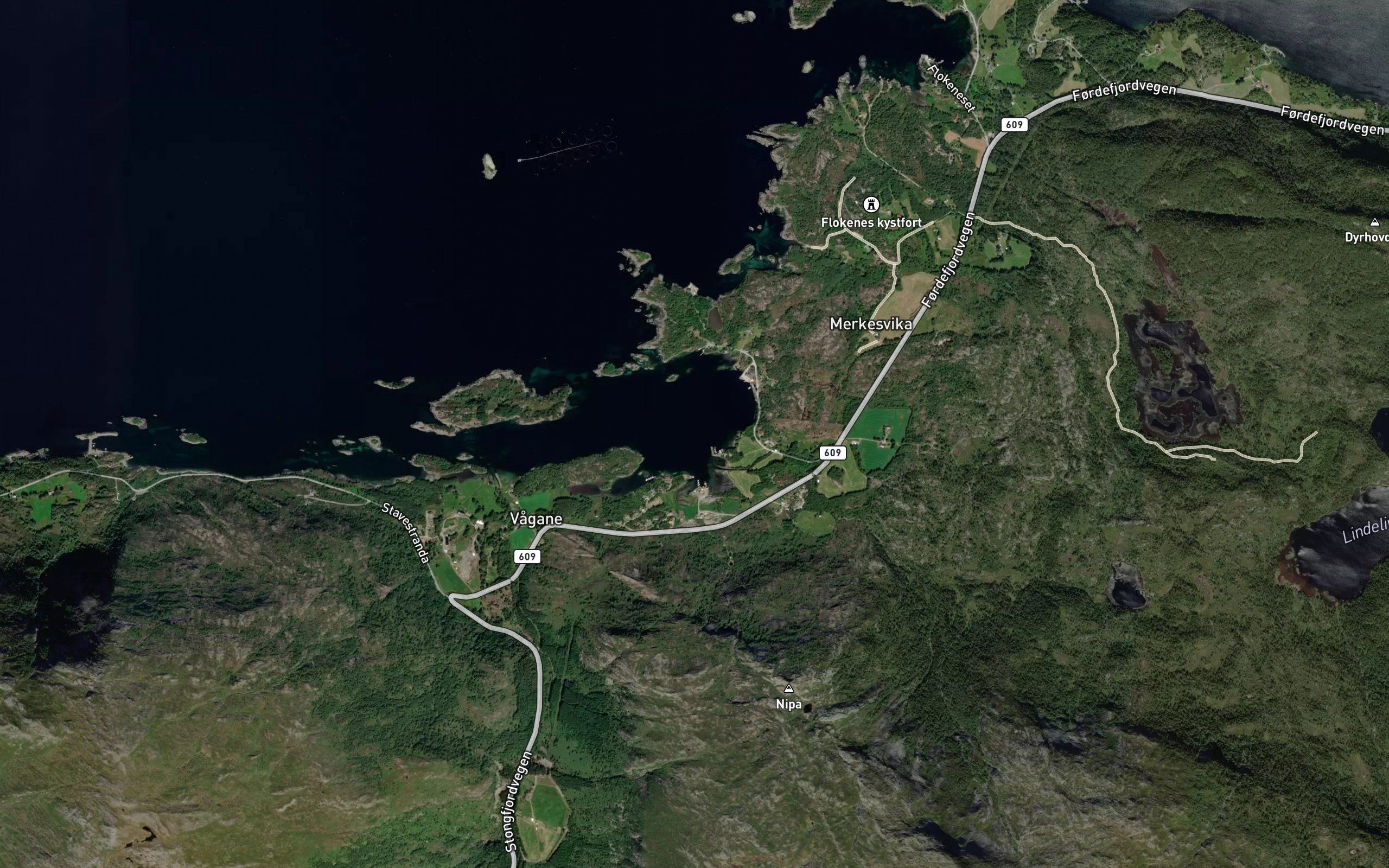 Nervika