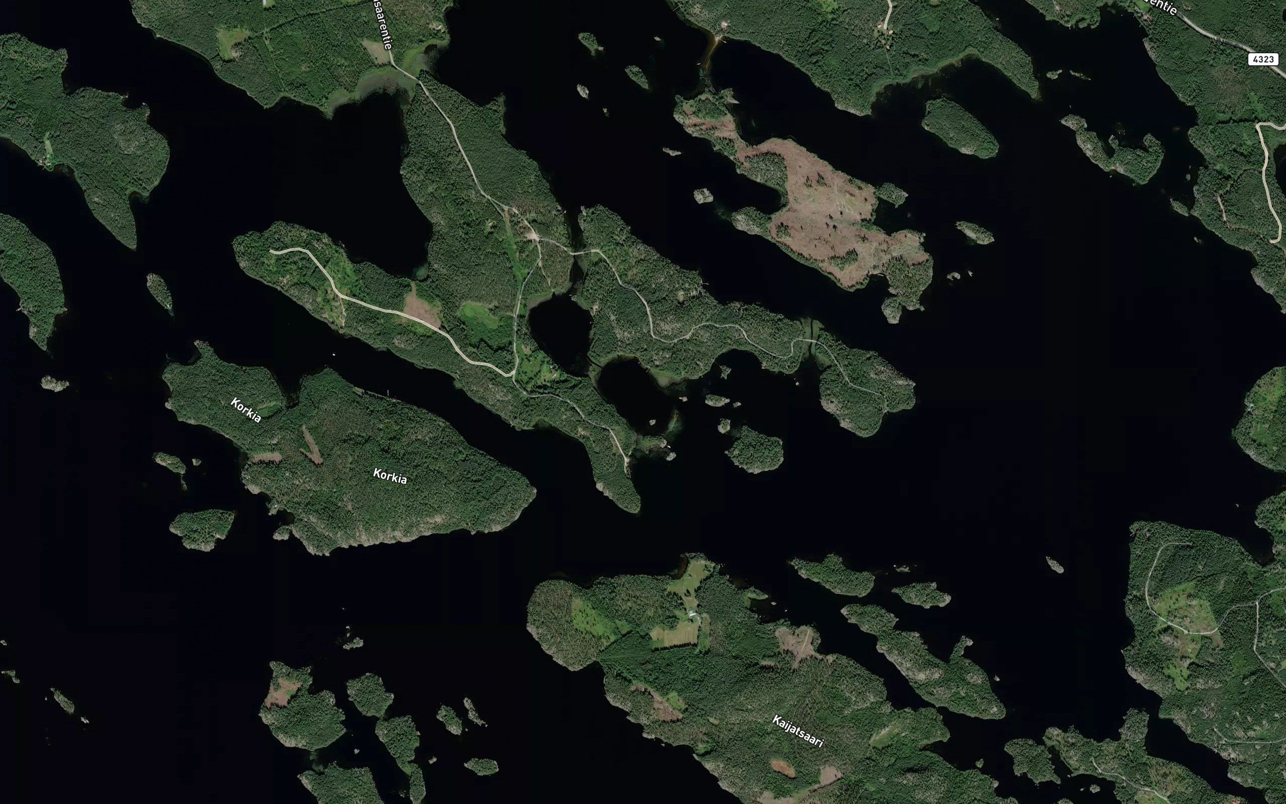 Niskalampi